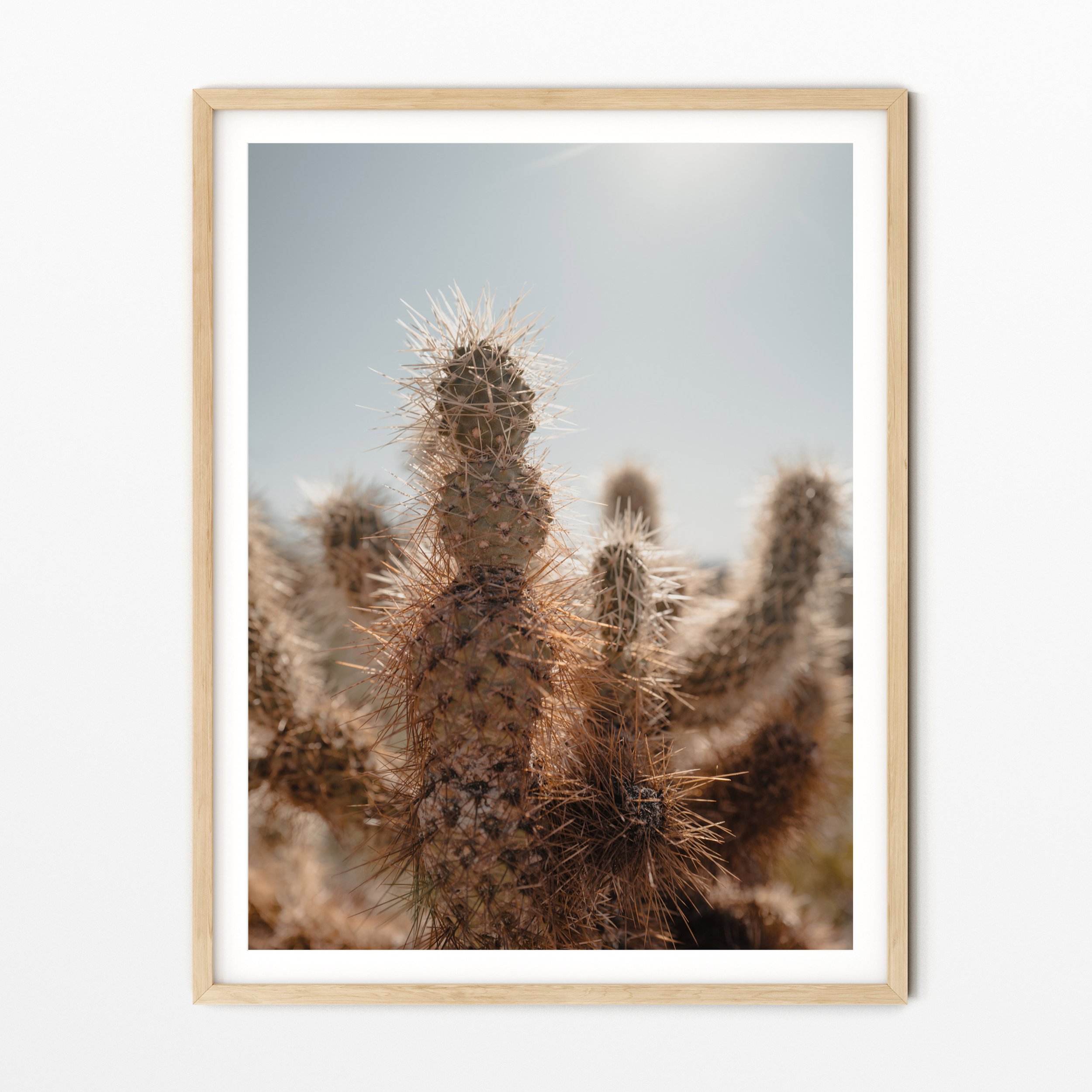 https://i.etsystatic.com/34223808/r/il/8ecf2a/3663903454/il_fullxfull.3663903454_litj.jpg