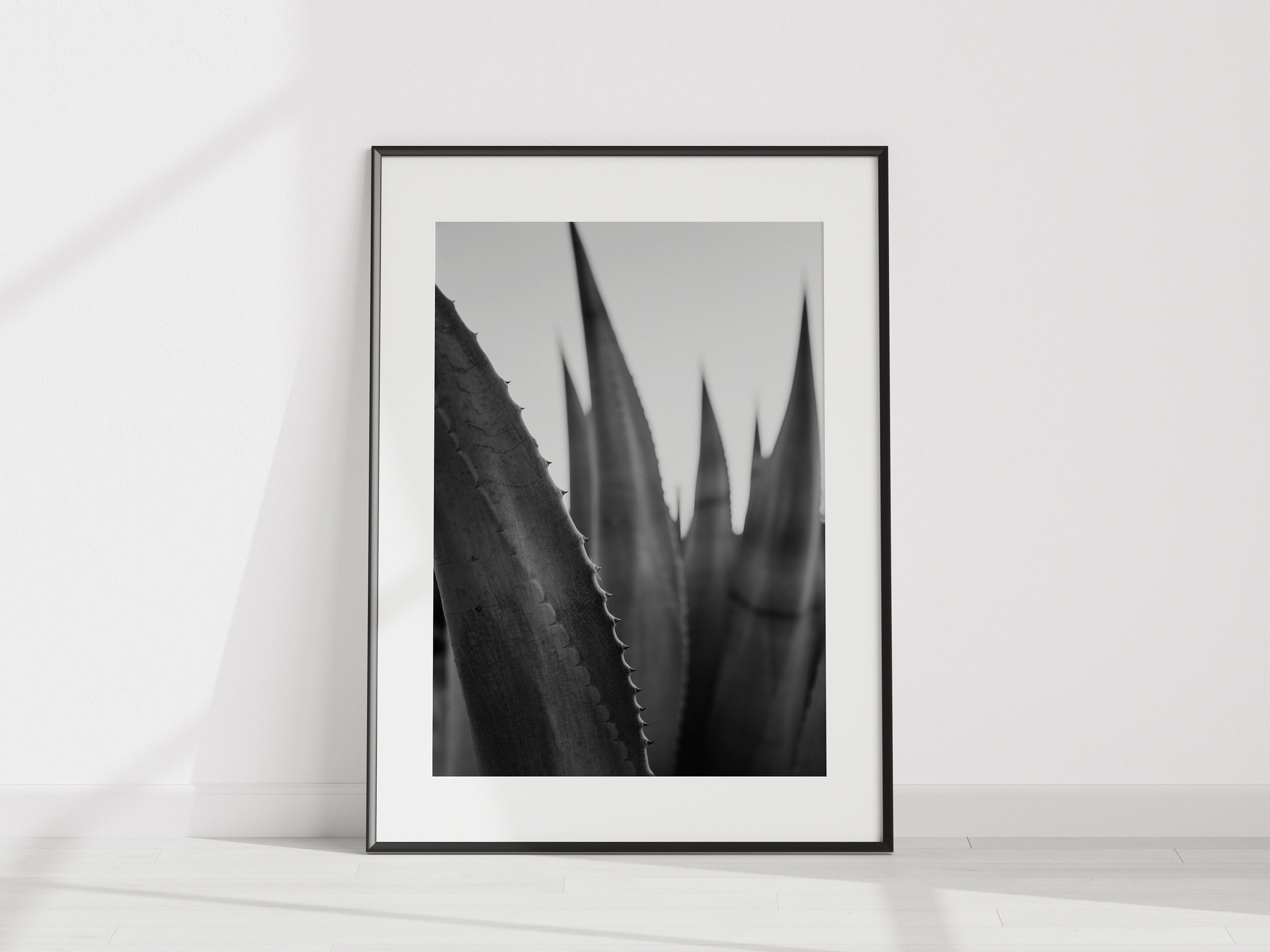https://i.etsystatic.com/34223808/r/il/2452e3/4488810824/il_fullxfull.4488810824_3s56.jpg