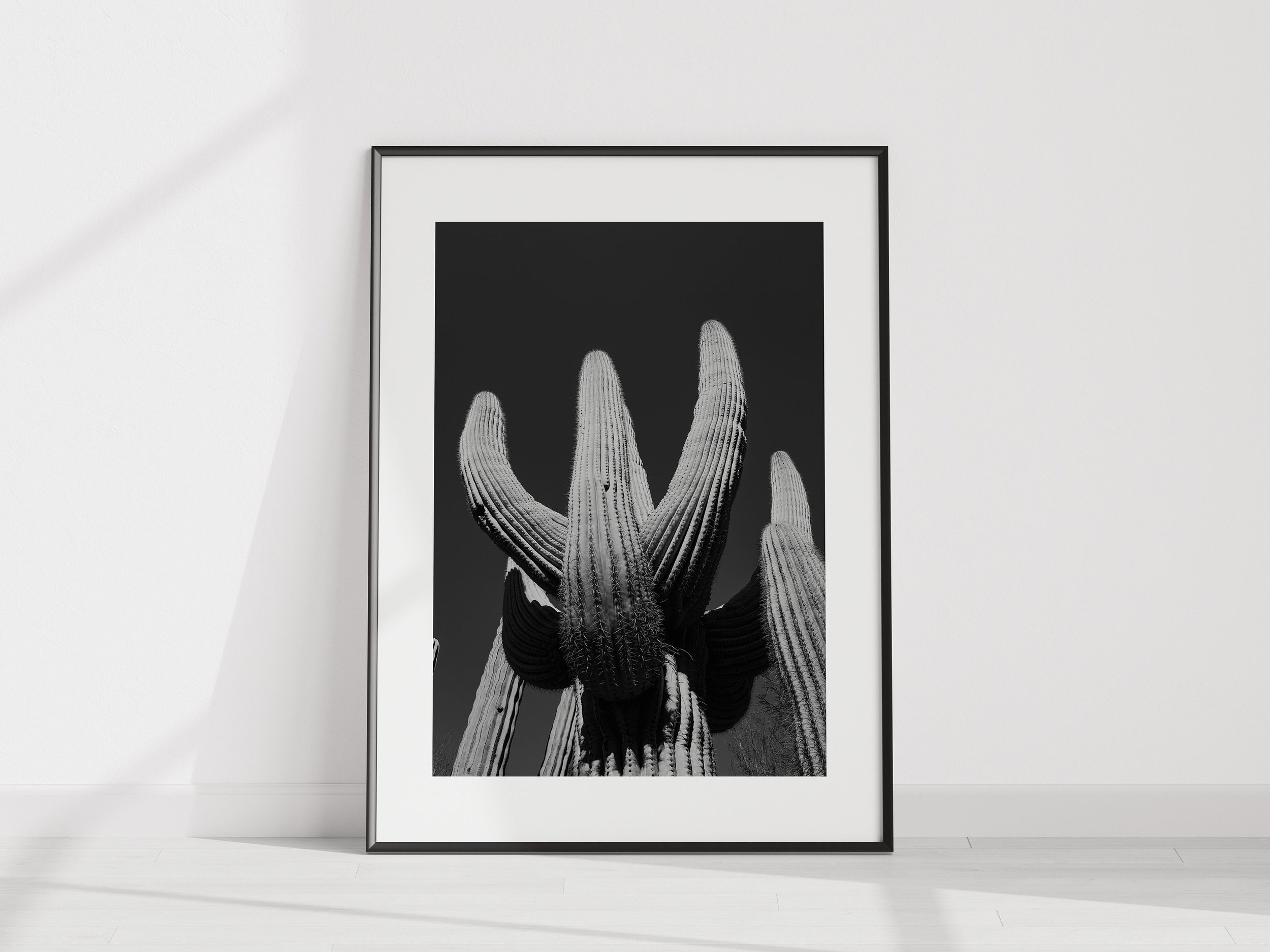 https://i.etsystatic.com/34223808/r/il/3579ca/4488697736/il_fullxfull.4488697736_n5v1.jpg