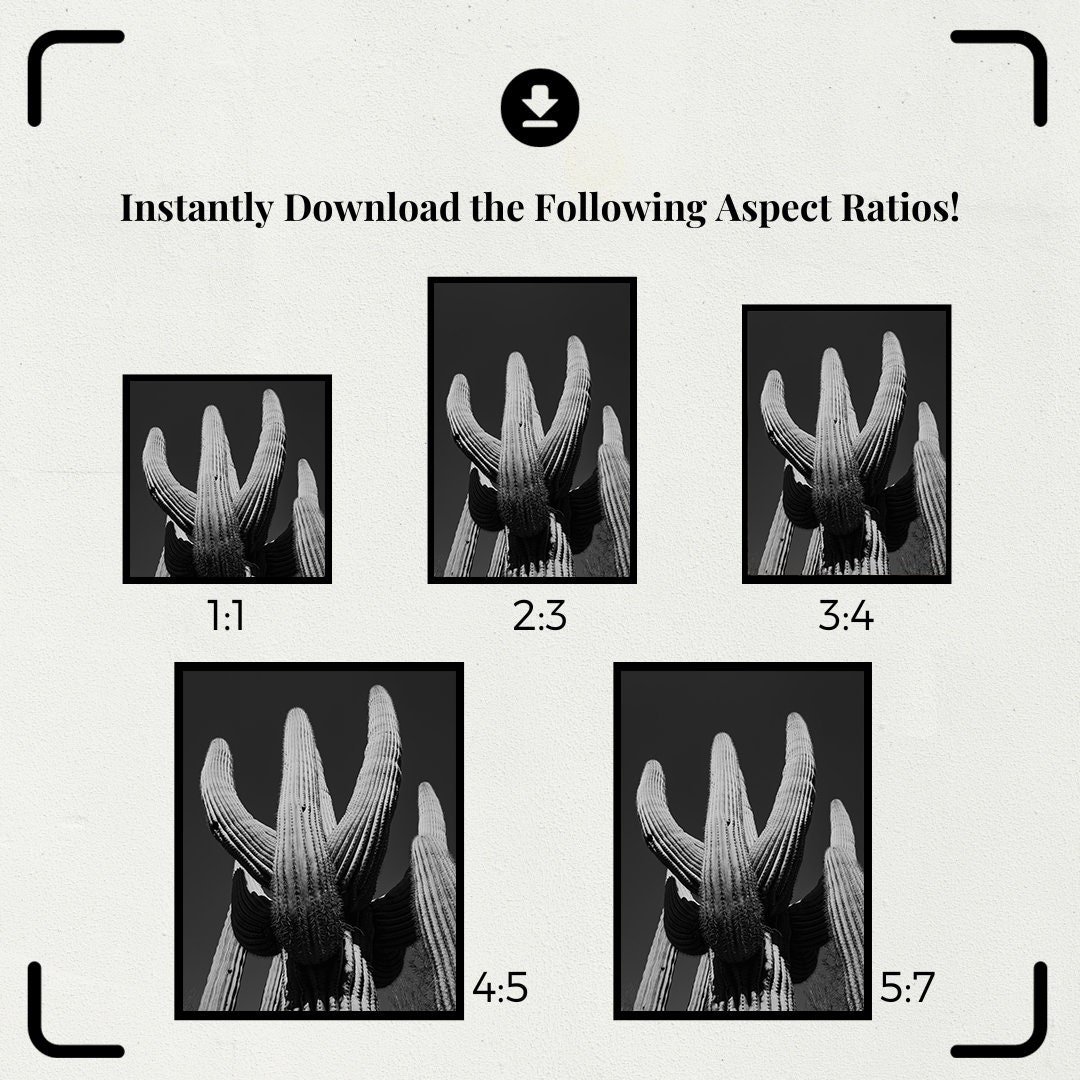 https://i.etsystatic.com/34223808/r/il/3074ae/5339768681/il_fullxfull.5339768681_4lug.jpg