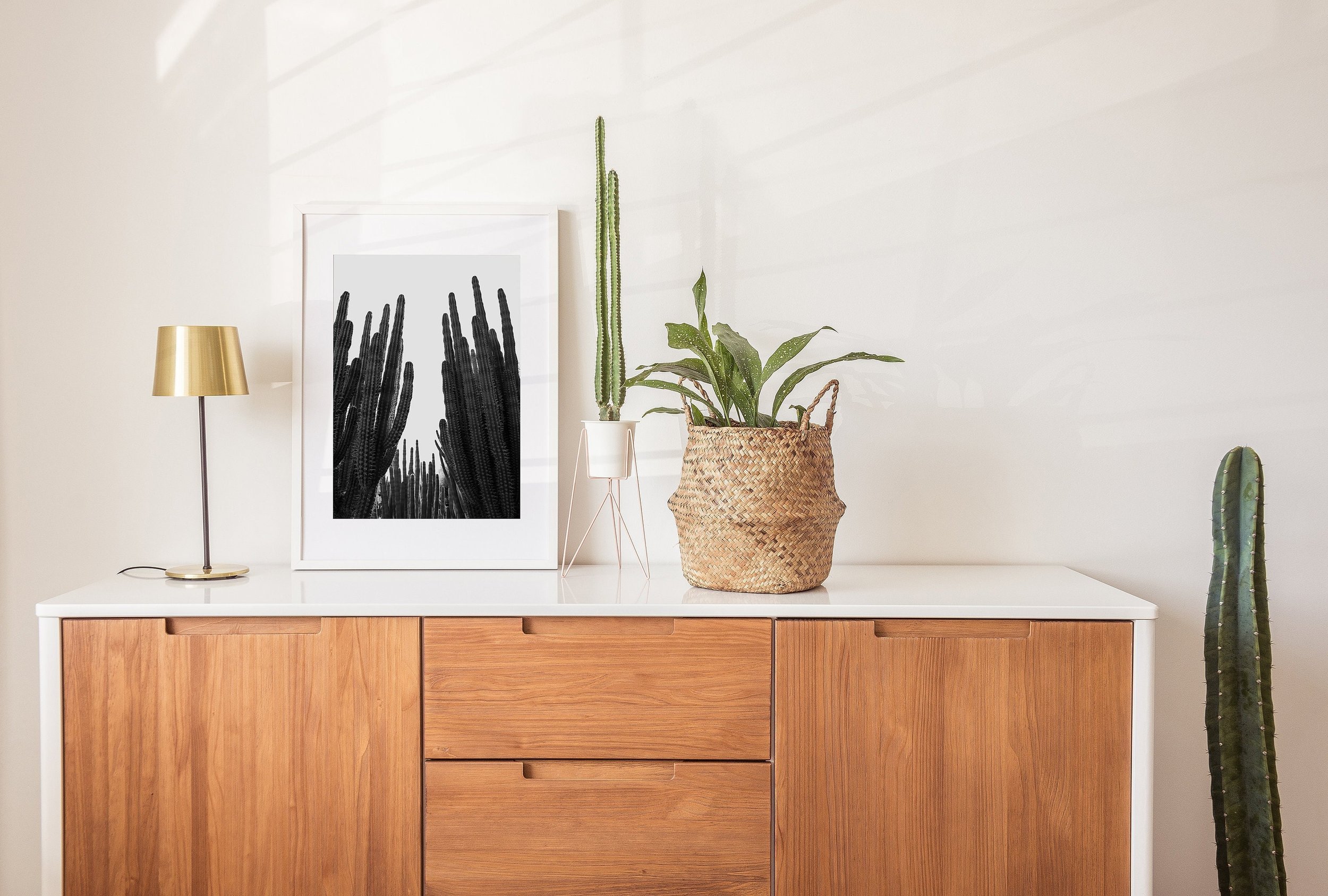 https://i.etsystatic.com/34223808/r/il/2316dc/5353588727/il_fullxfull.5353588727_jwiq.jpg