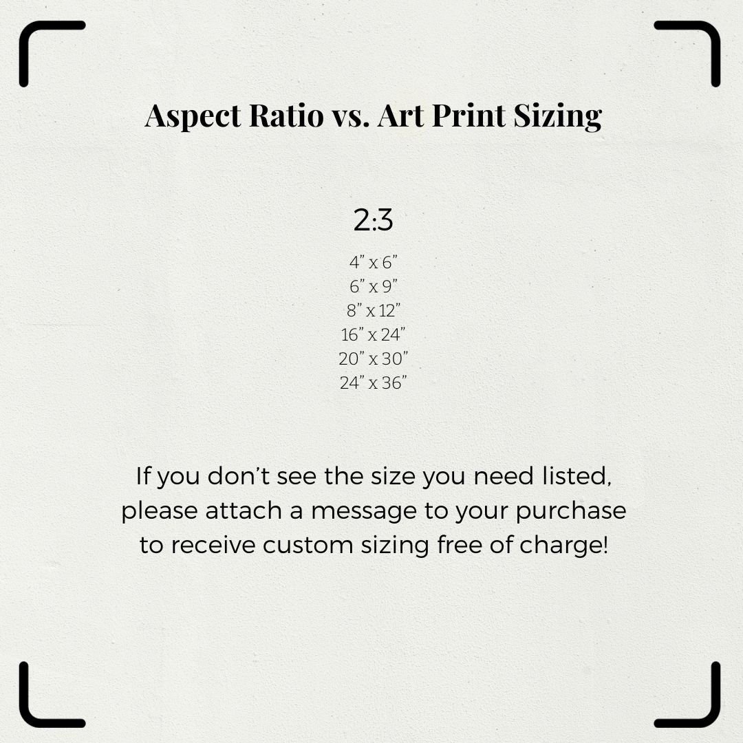https://i.etsystatic.com/34223808/r/il/ce04fc/5364722013/il_fullxfull.5364722013_t8d6.jpg