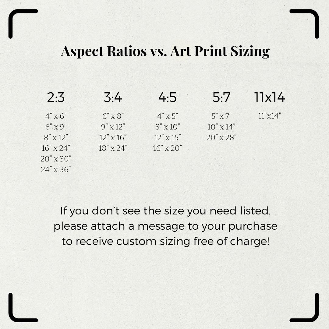 https://i.etsystatic.com/34223808/r/il/dab6f3/5364413493/il_fullxfull.5364413493_699i.jpg