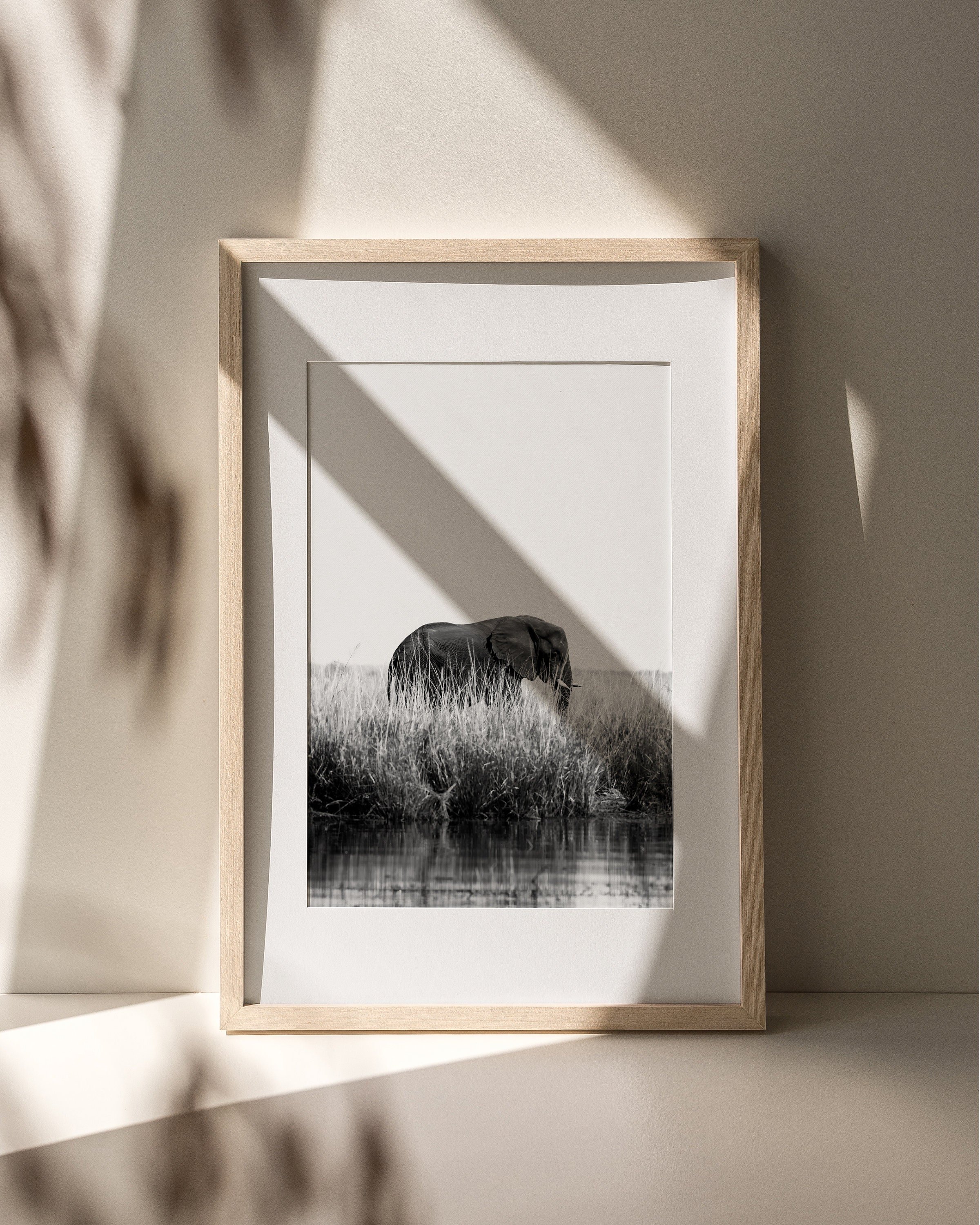 https://i.etsystatic.com/34223808/r/il/42eb7c/5308322458/il_fullxfull.5308322458_cxx4.jpg
