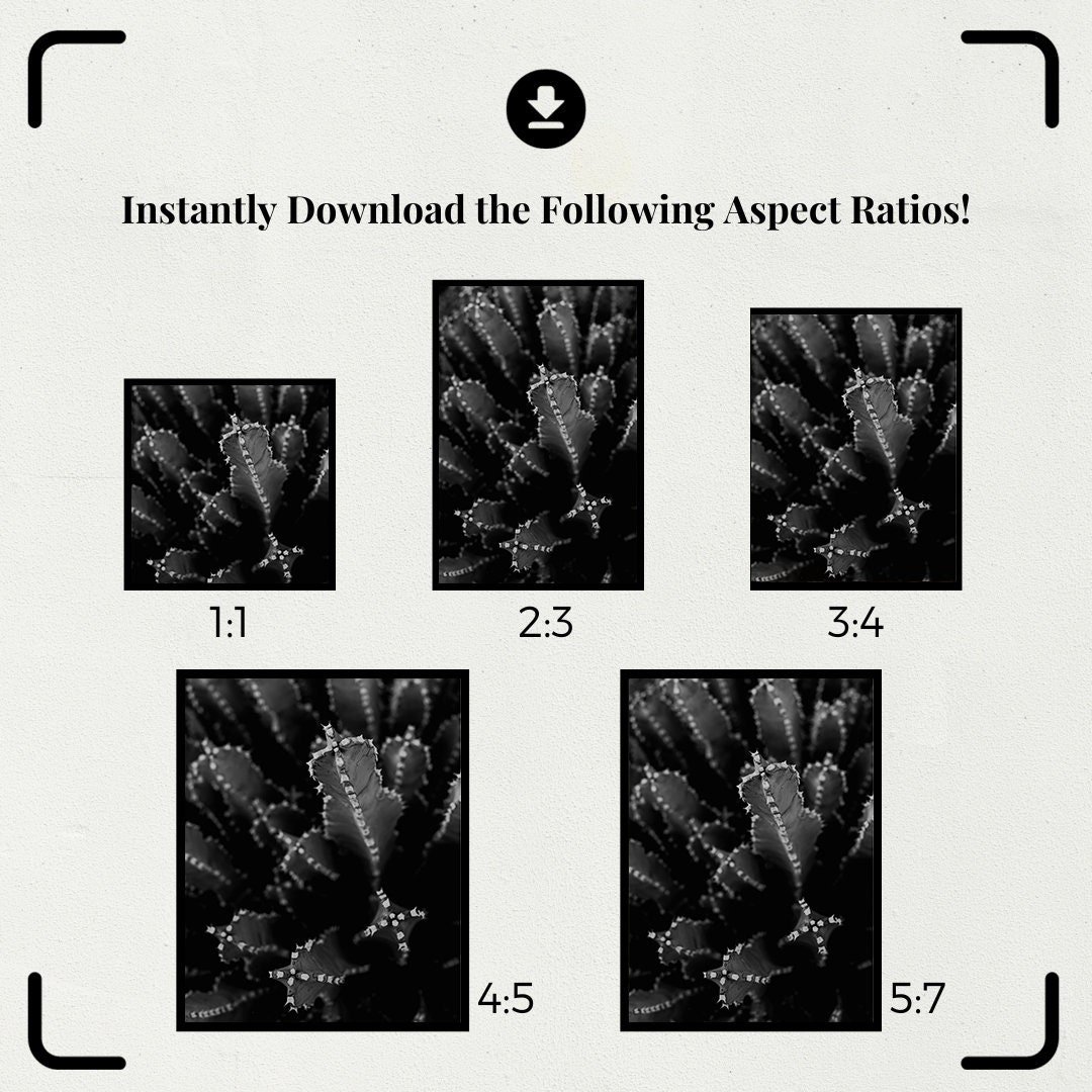 https://i.etsystatic.com/34223808/r/il/b030ef/5291565468/il_fullxfull.5291565468_ckmz.jpg