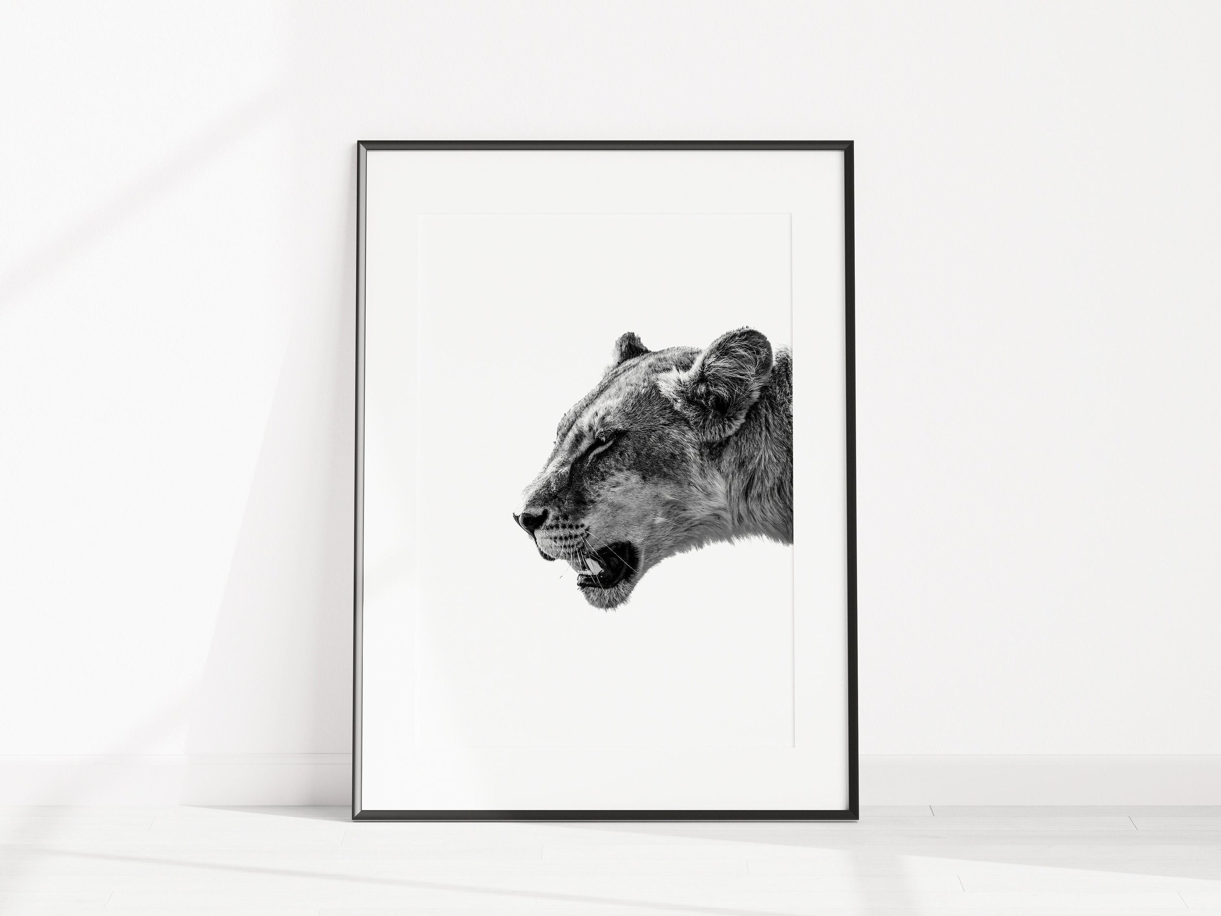 https://i.etsystatic.com/34223808/r/il/1f60a2/5316559760/il_fullxfull.5316559760_oach.jpg