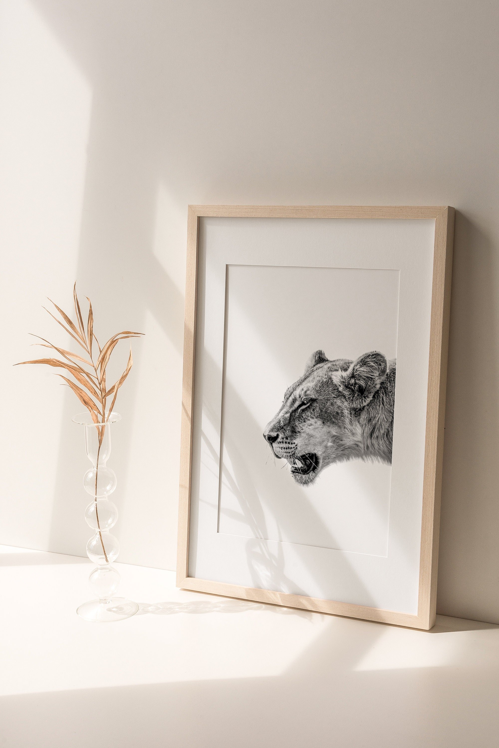 https://i.etsystatic.com/34223808/r/il/1e496a/5305512198/il_fullxfull.5305512198_lll0.jpg
