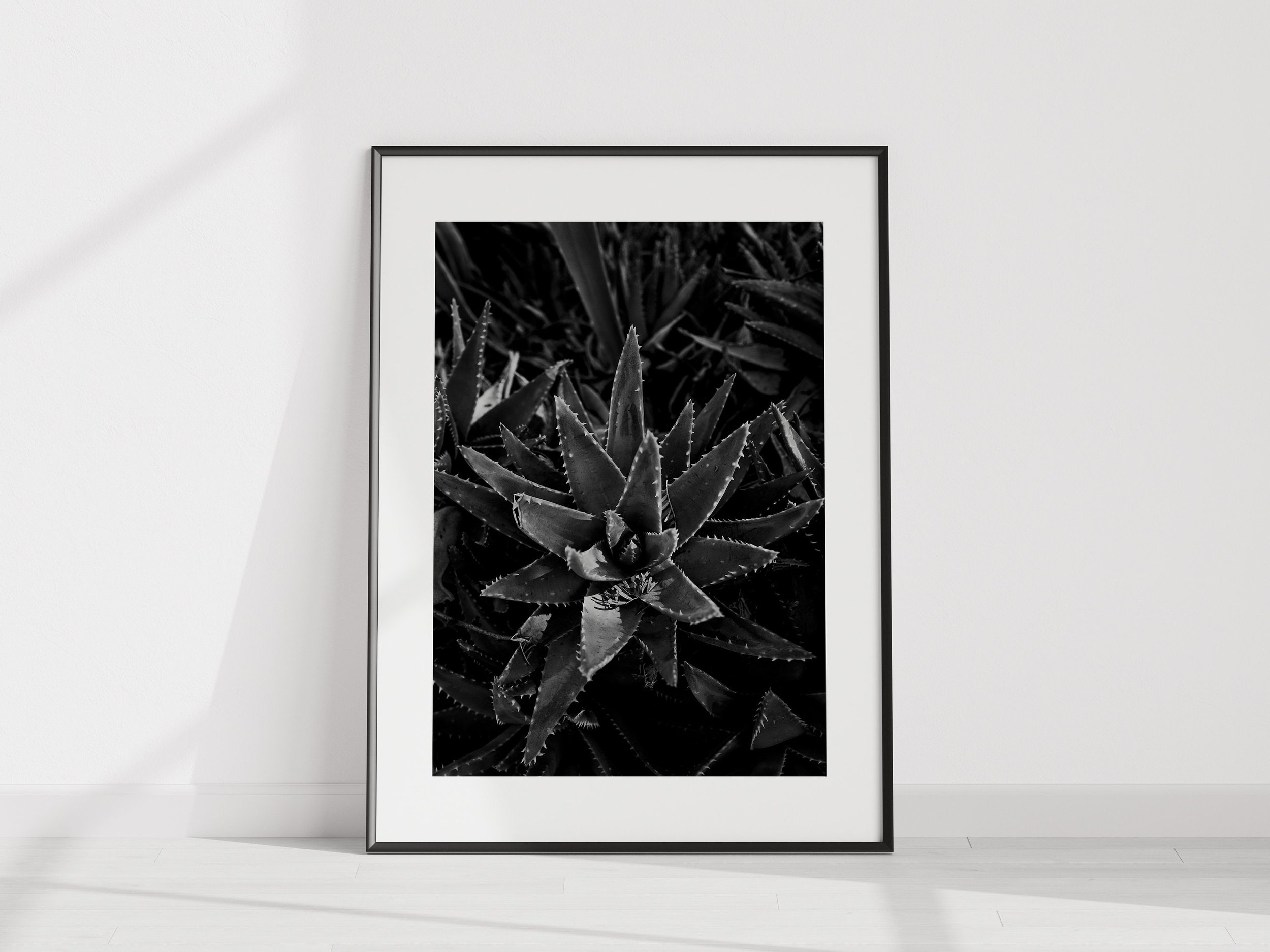 https://i.etsystatic.com/34223808/r/il/5b5c10/5356375039/il_fullxfull.5356375039_dd9u.jpg