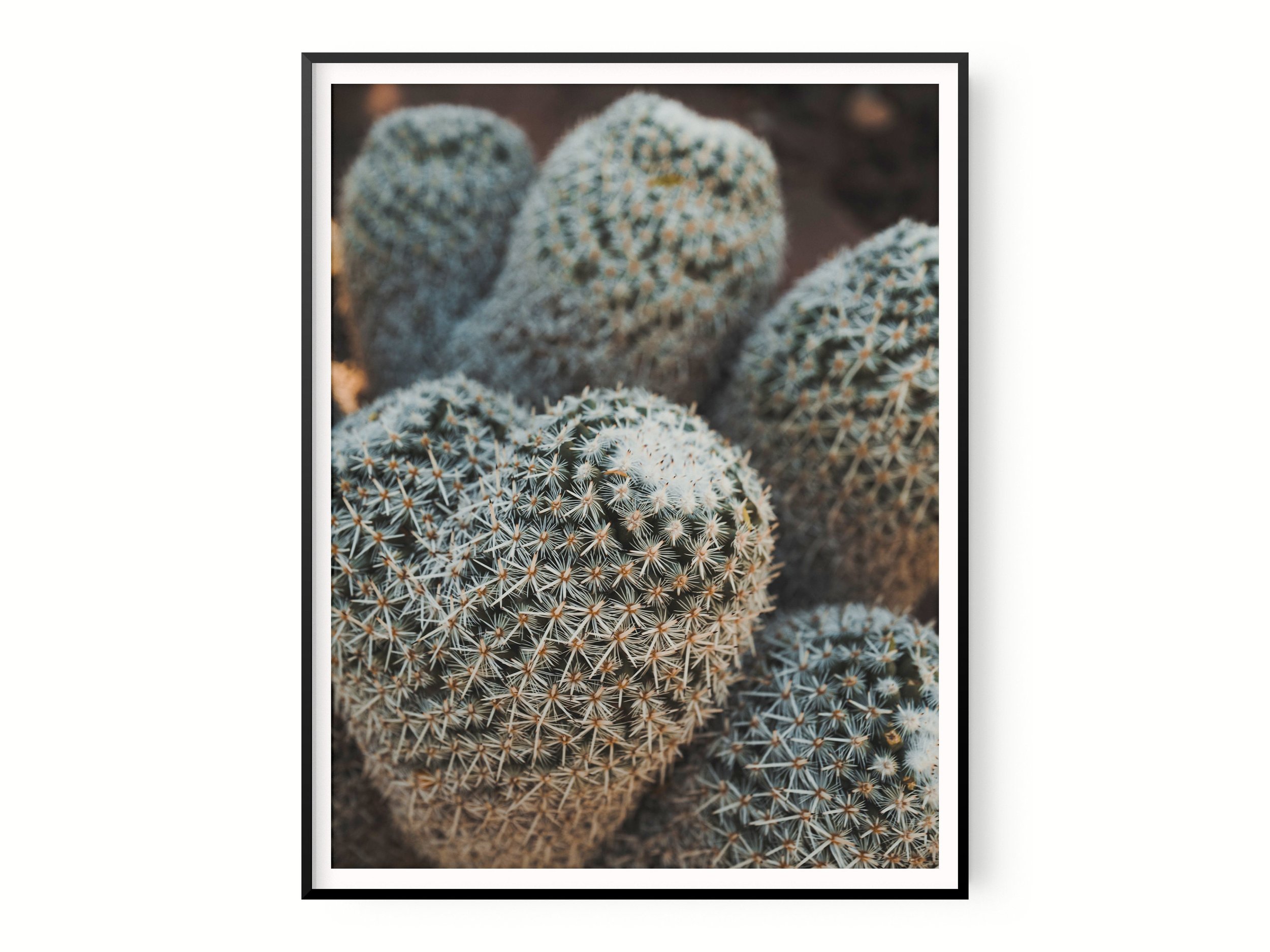 https://i.etsystatic.com/34223808/r/il/b79a47/4529136157/il_fullxfull.4529136157_63p9.jpg