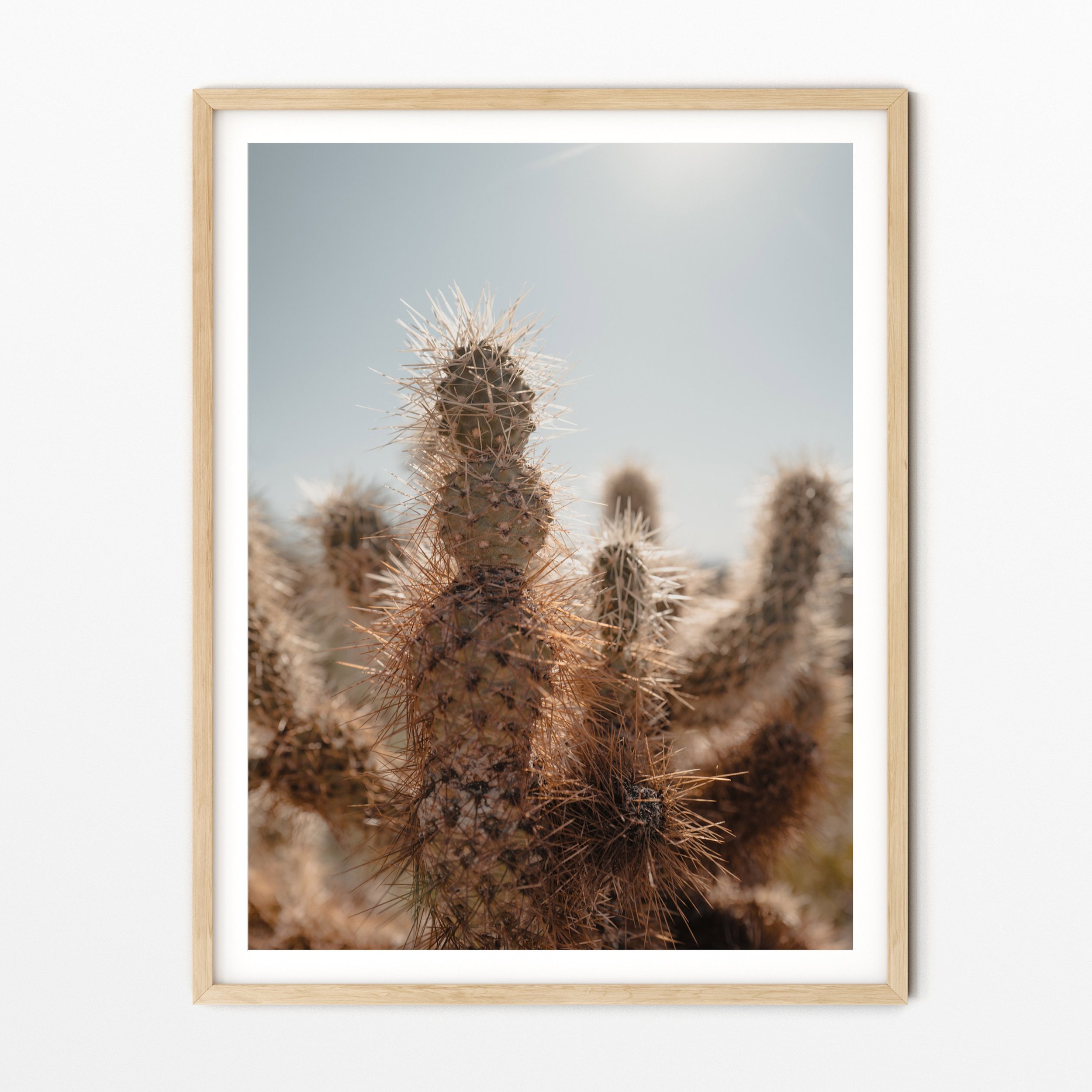 https://i.etsystatic.com/34223808/r/il/8ecf2a/3663903454/il_fullxfull.3663903454_litj.jpg