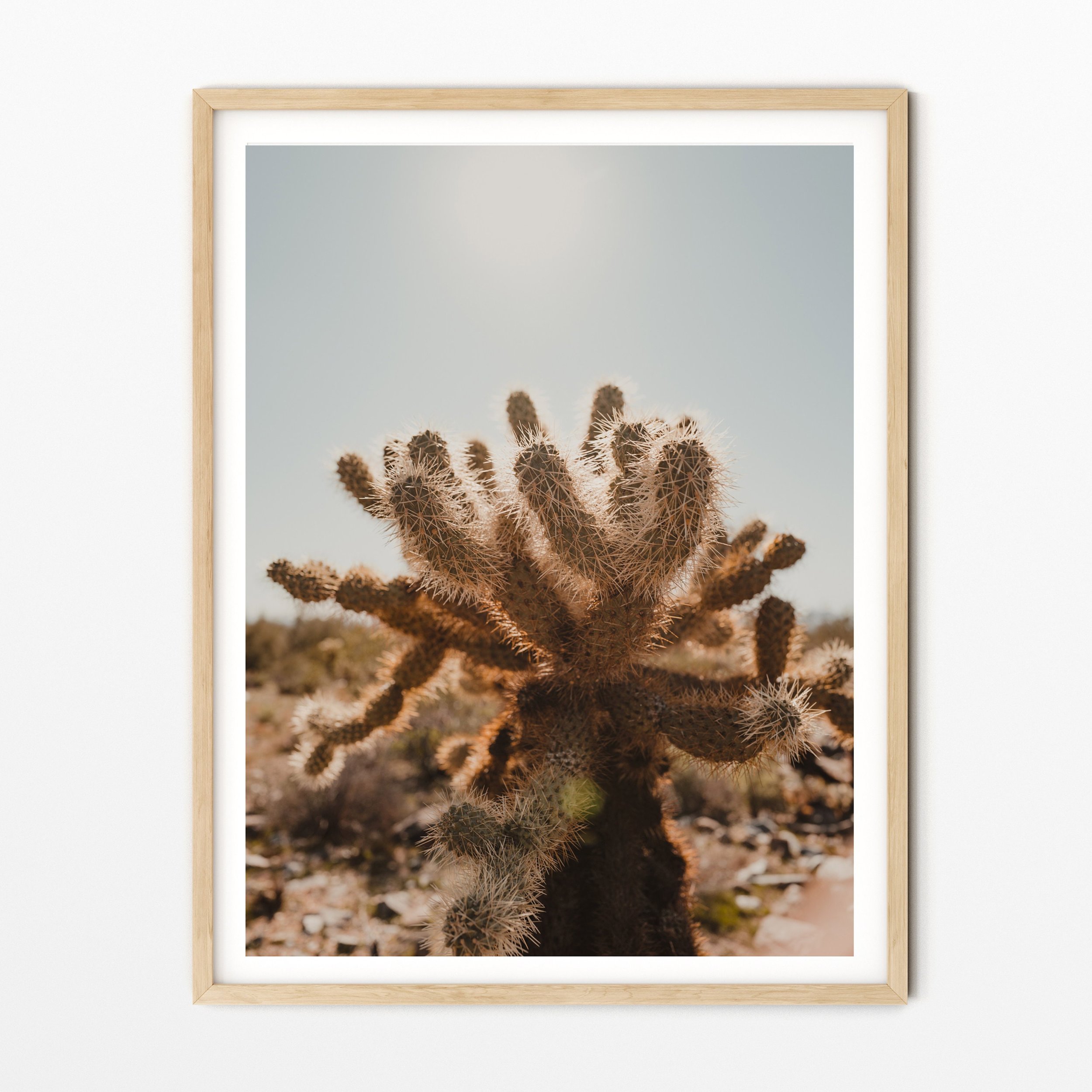https://i.etsystatic.com/34223808/r/il/3c03a6/3711512519/il_fullxfull.3711512519_f7j9.jpg
