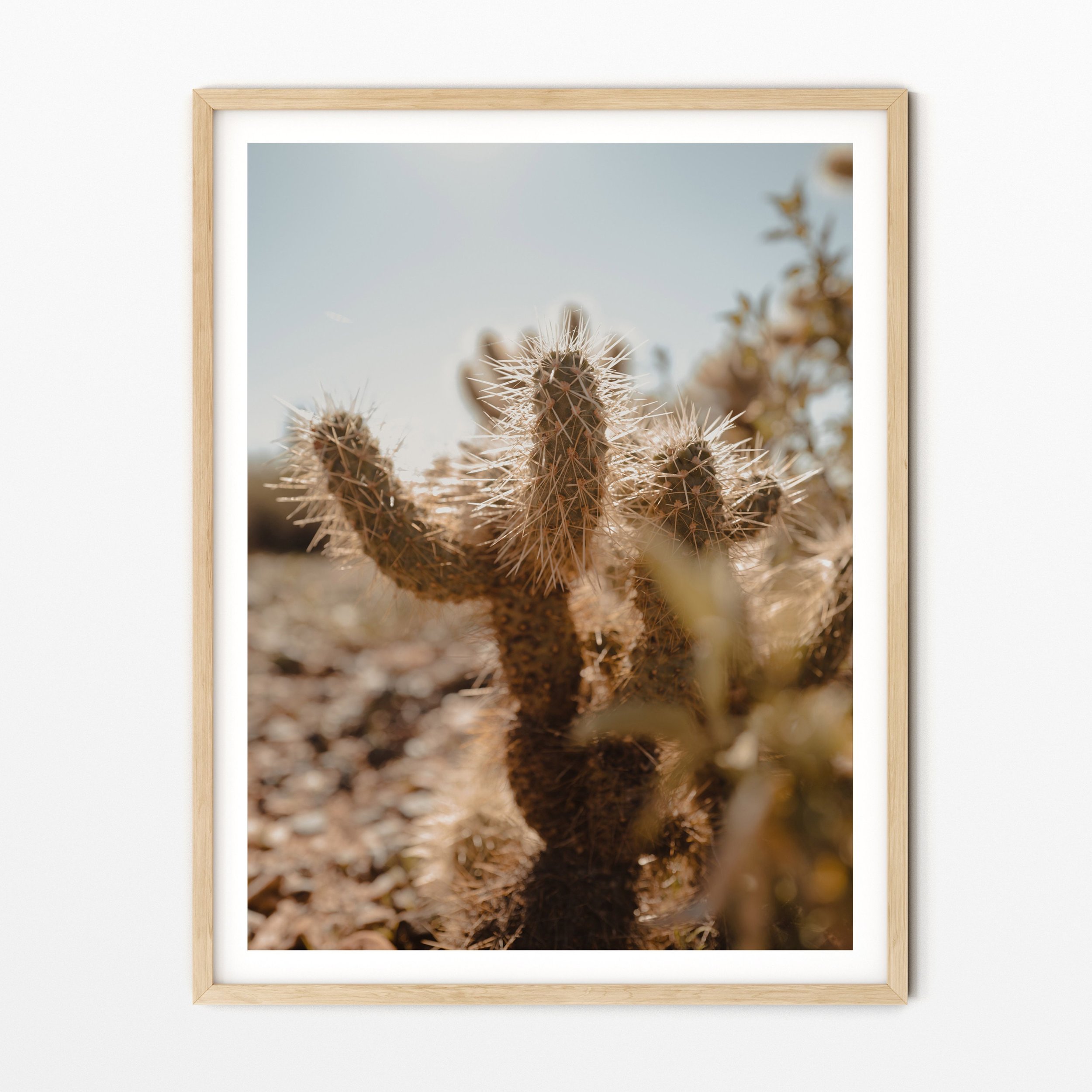 https://i.etsystatic.com/34223808/r/il/67a030/3711512507/il_fullxfull.3711512507_hjes.jpg