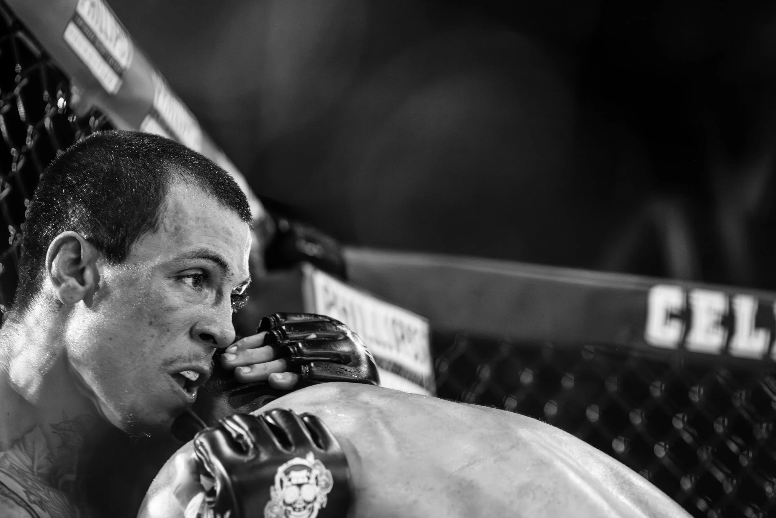 Ruf MMA 64-65.jpg