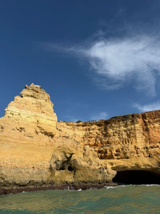 Screenshot 2026-03-05 at 1.39.56 PM.png