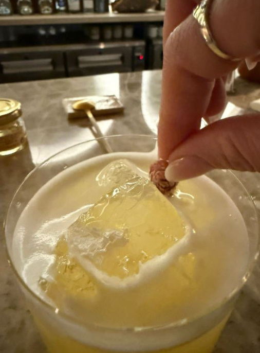 Screenshot 2026-03-05 at 1.50.22 PM.png