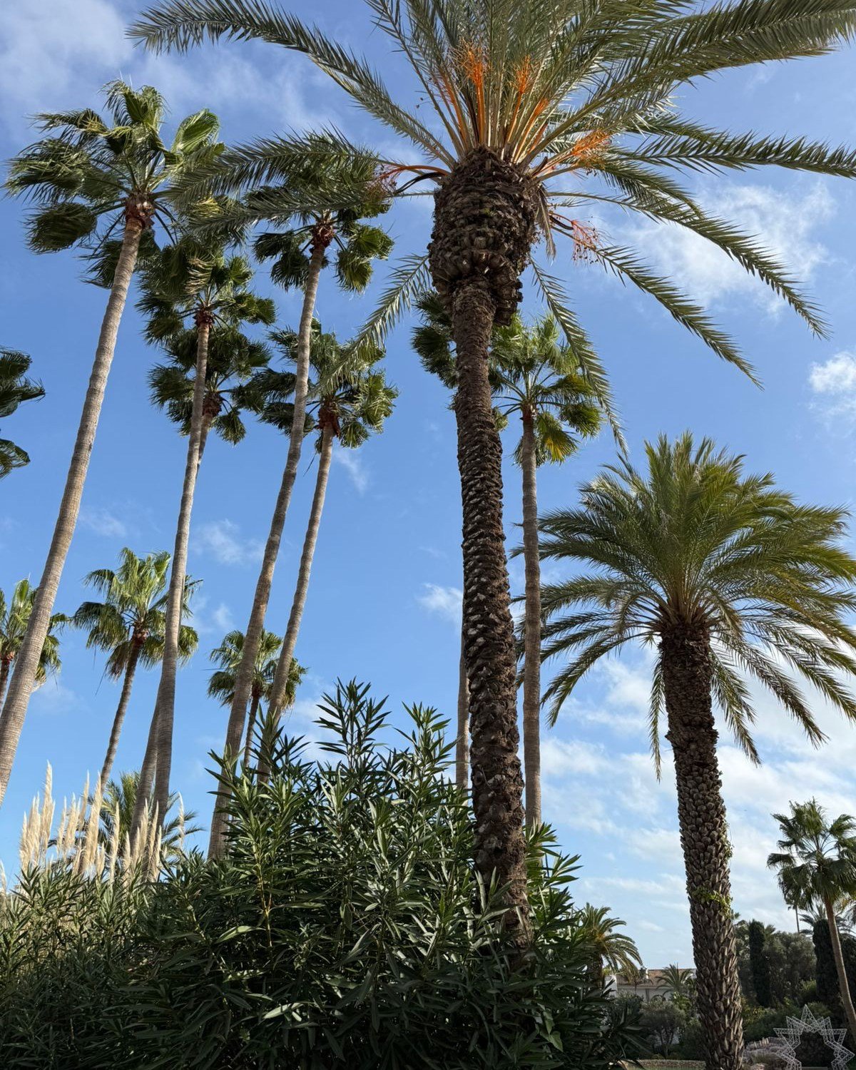 Portugal has quietly become one of Europe&rsquo;s most loved destinations, and it&rsquo;s easy to see why.

Historic cities, incredible food, dramatic coastlines, and a pace of life that invites you to slow down.

Some places just feel good the momen