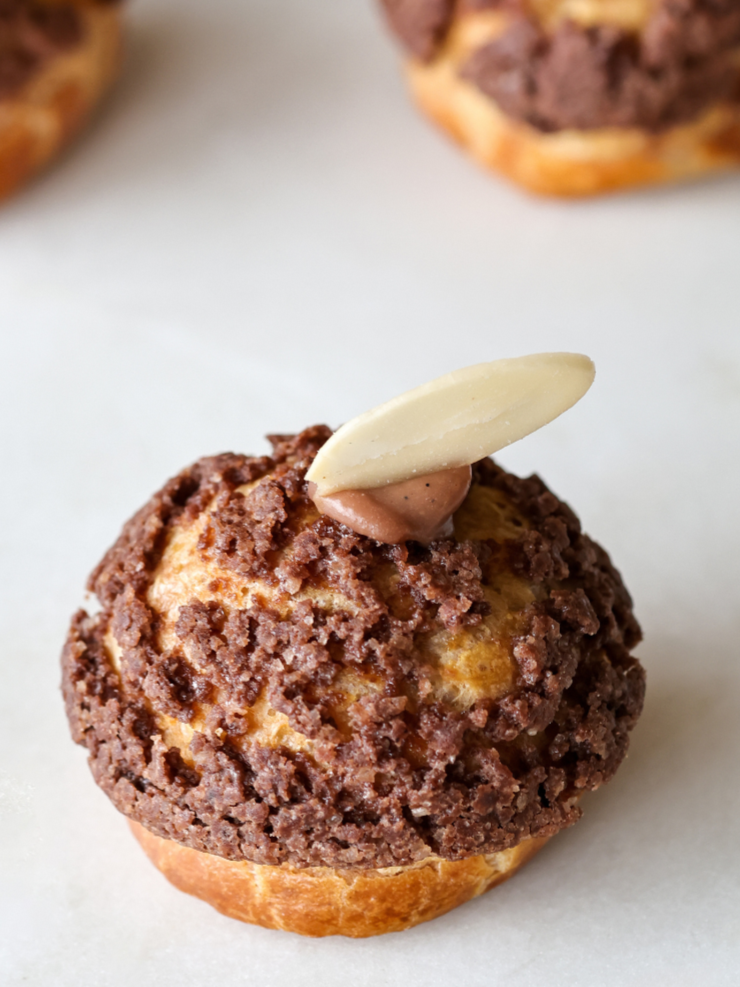 Choux+%281600+x+1200%29.png