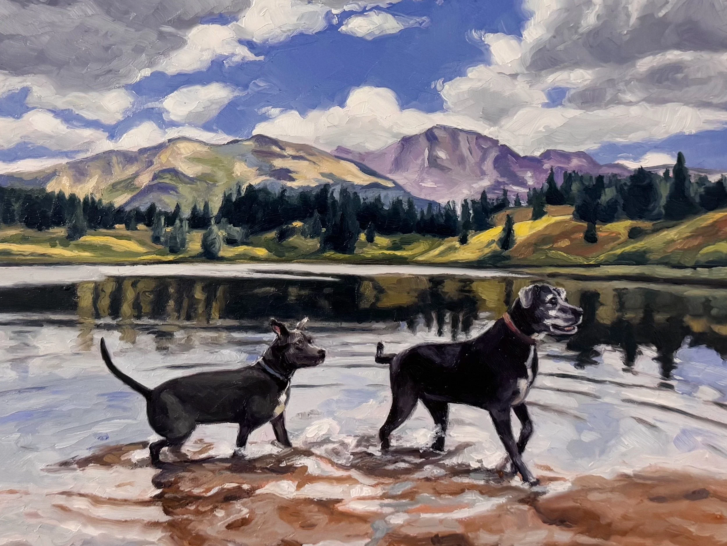 Sascha and Ava, 11X14" oil on panel, 2025, 

San Jose Mountains, unavailable