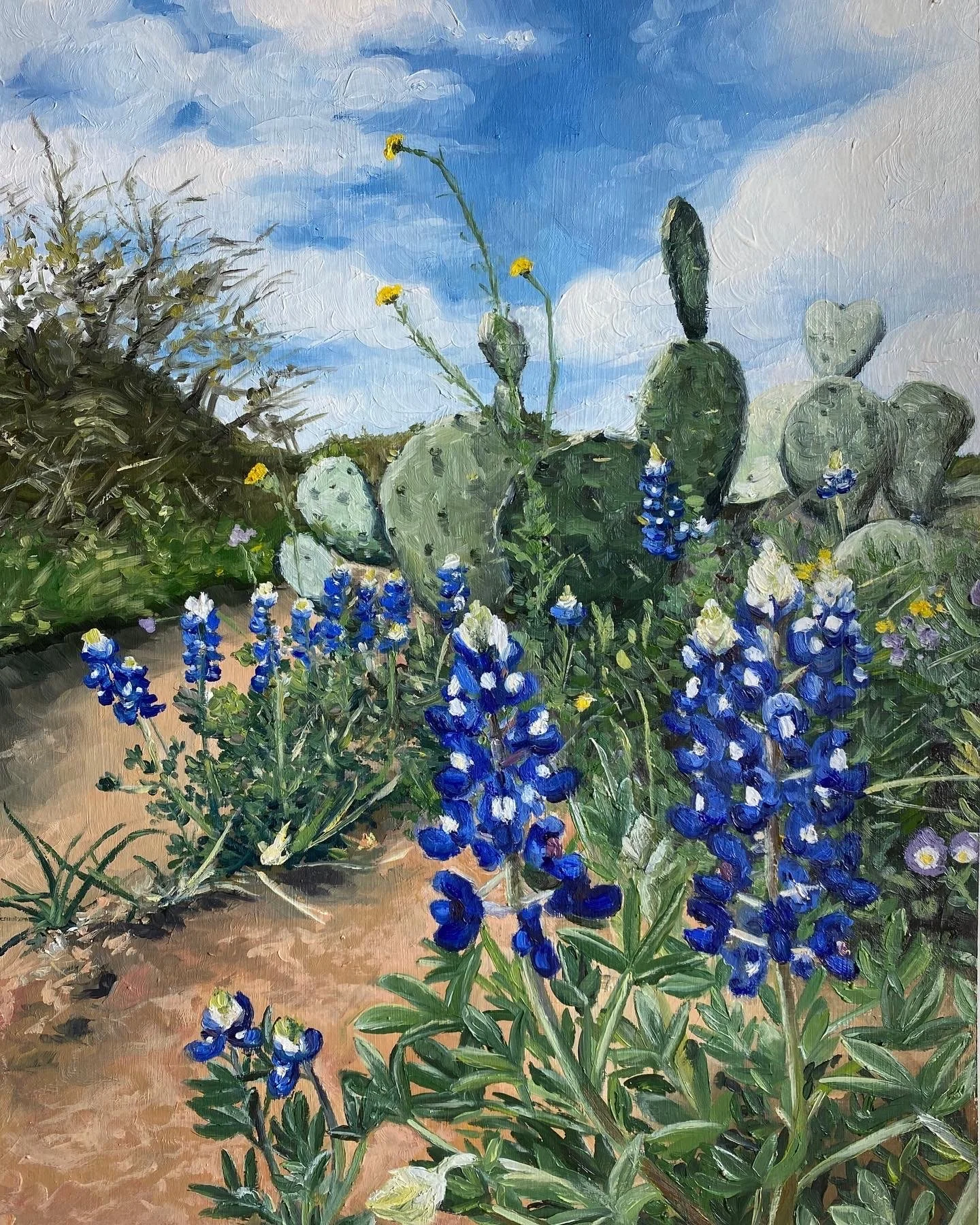 Inky Blues
11"x14" oil on paper, 2023,

Inks Lake State Park, sold