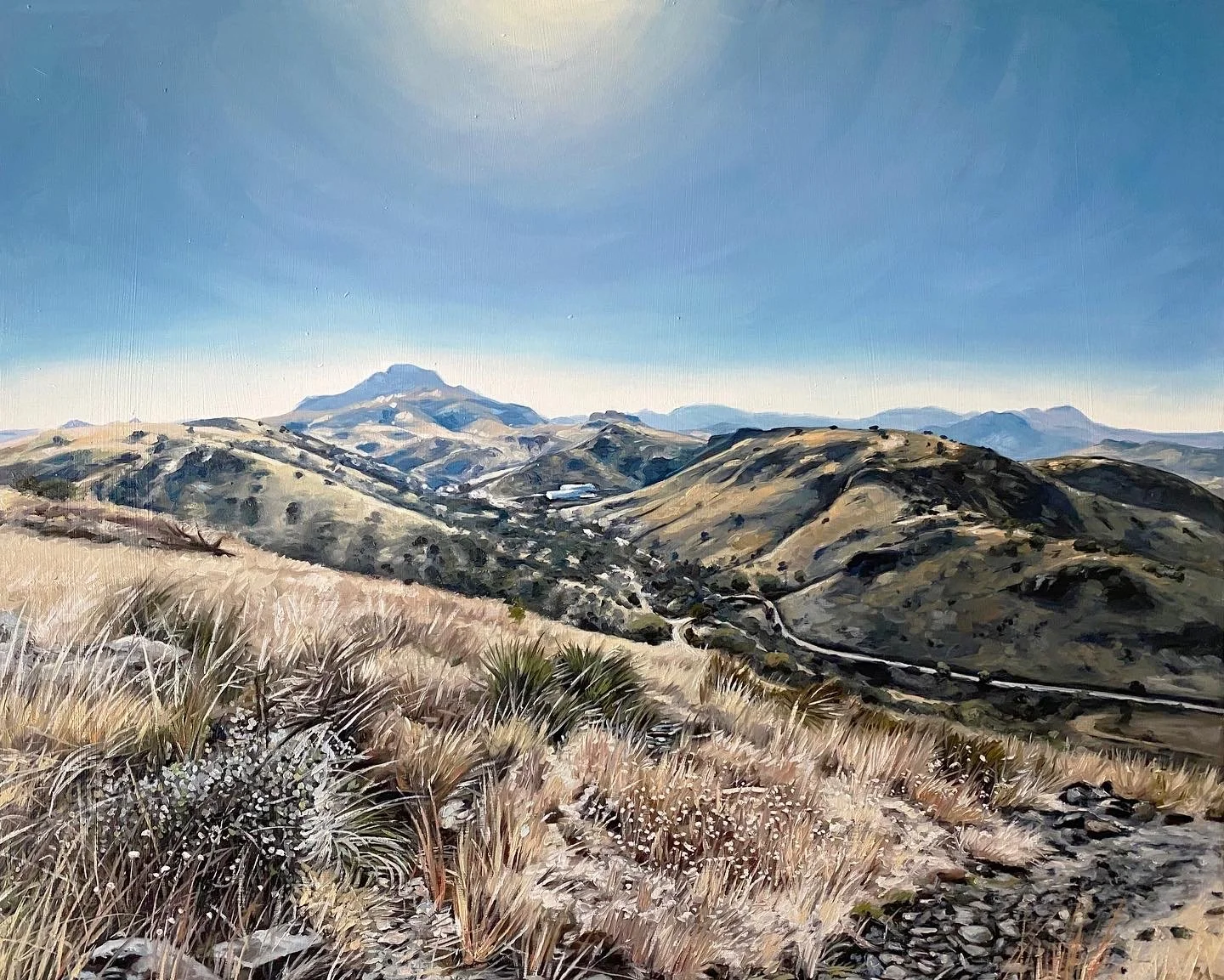 Sunset Pregame
24"x30" oil on panel, 2023,

Davis Mountains State Park, available