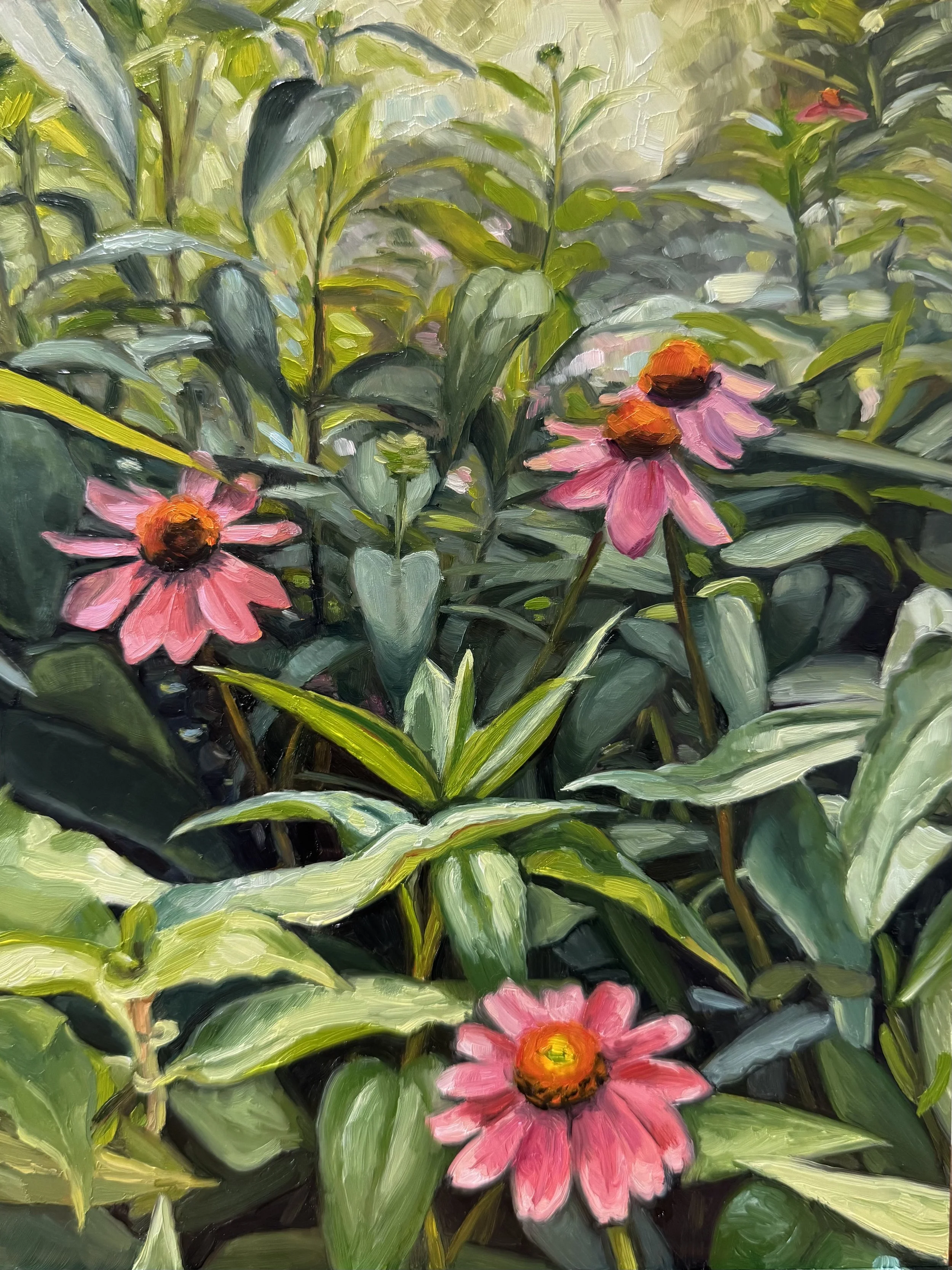 Coneflower Hollow, 8x10" oil on panel, 2025, Zilker Botanical Gardens, unavailable

