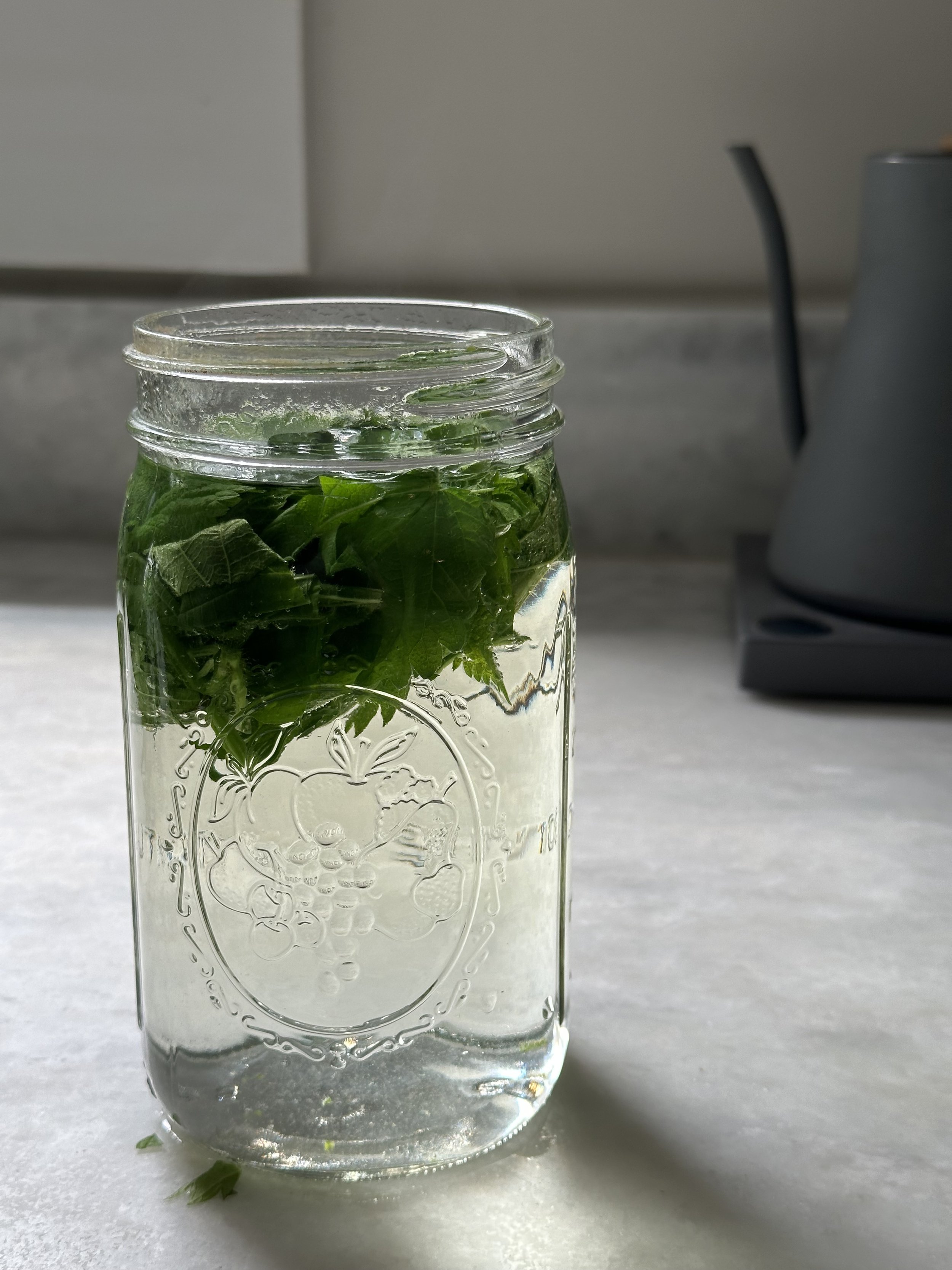 overnight nettle infusion