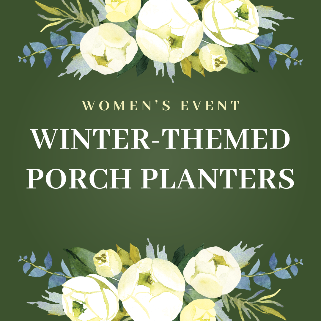 Women's Event: Winter-Themed Porch Planters