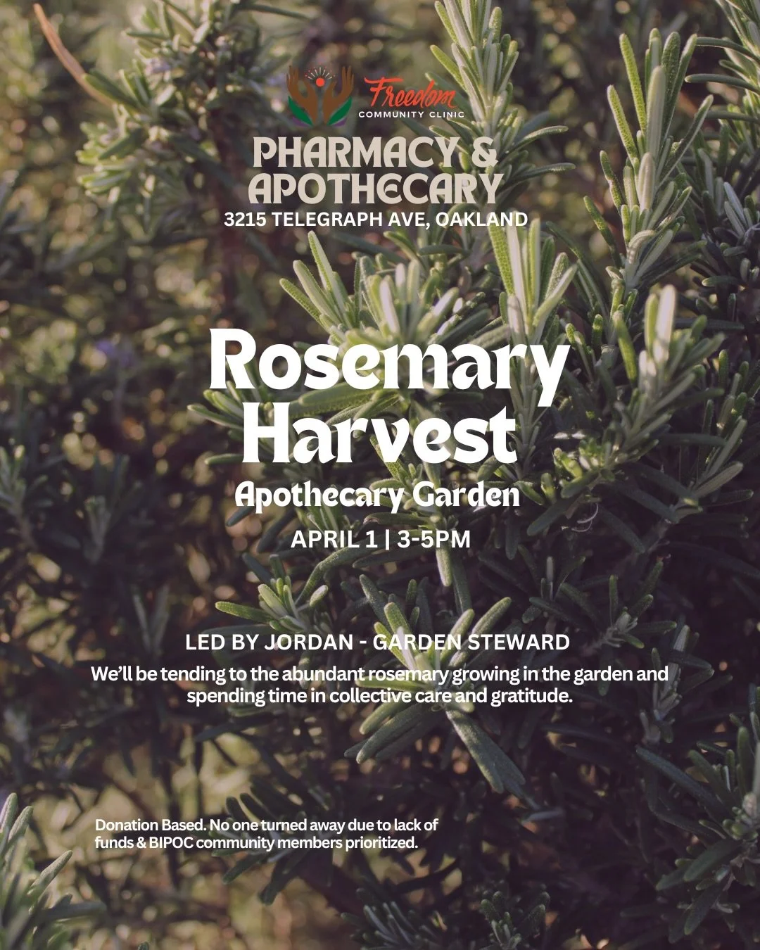 🌿 Join us at the Apothecary &amp; Pharmacy for a community rosemary harvest! On April 1st from 3-5pm, our apothecary and garden steward Jordan will guide us in tending and collective care. 

🌱🤲🏾 Together We&rsquo;ll:
* Make offerings and give tha