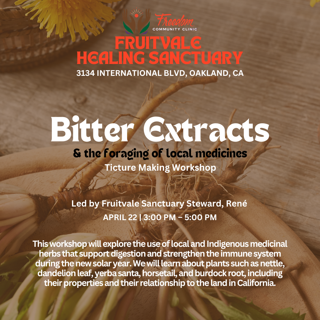 Bitter Extracts: and the foraging of local medicines