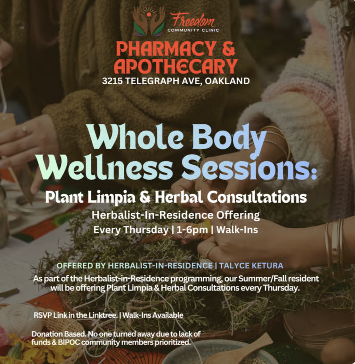 Whole Body Wellness Sessions: 1 on 1 Plant Limpia & Herbal Consult with Herbalist-in-Residence (Copy) (Copy)