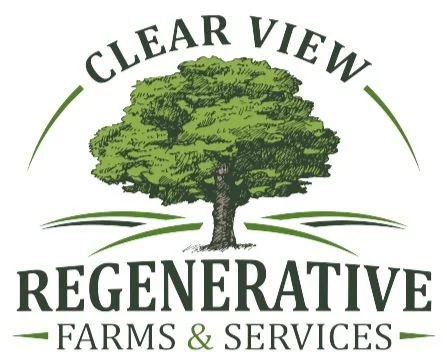 Clear_View_Logo_Proof (1).jpg