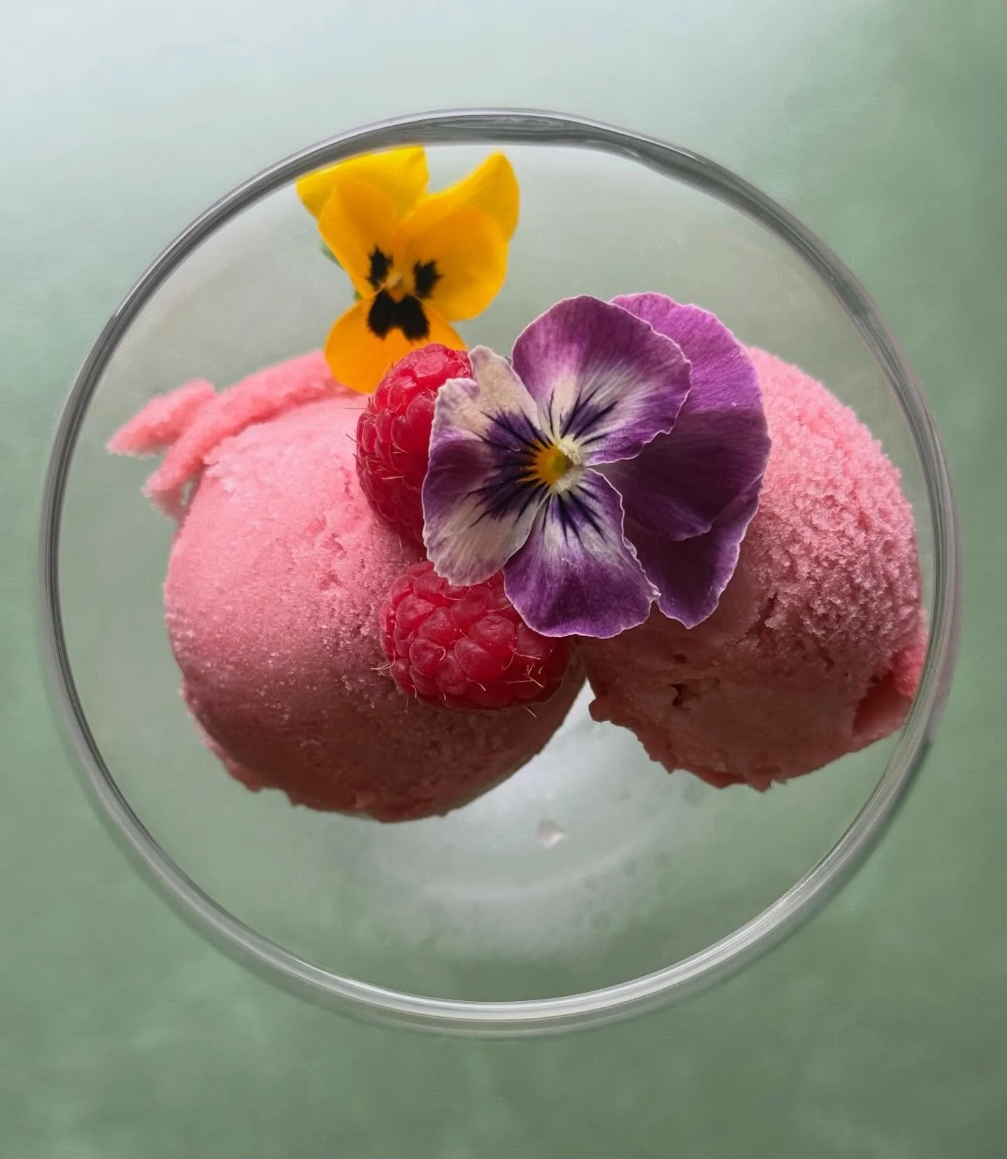 Our new Hibiscus sorbet is creamy and delicious with just the right sweetness. A beautiful way to cap off the night. 🌺

We&rsquo;re open 4-9. 🎉

#delmarny #dessertfirst #sorbet #scratchmade