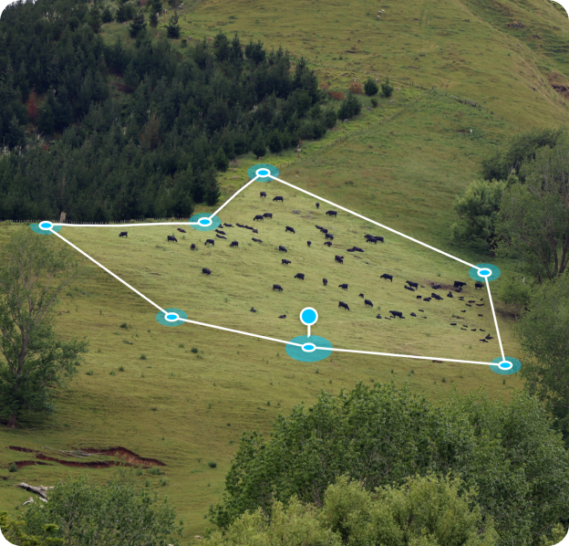 Virtual Fence Examples Halter - Now for Beef — Halter® | Virtual Fencing for High Performance ...