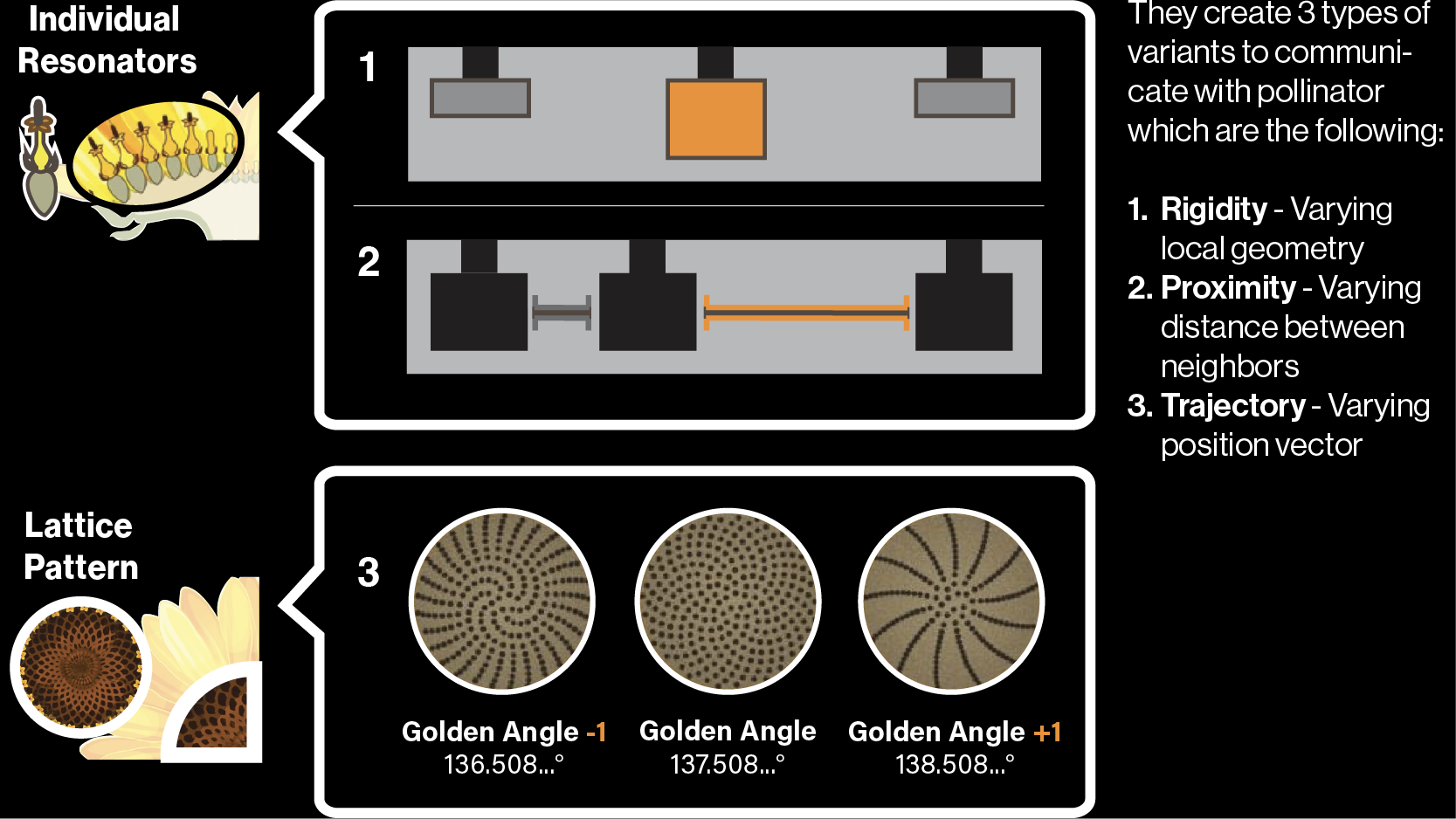 Illimited Lab-77.png
