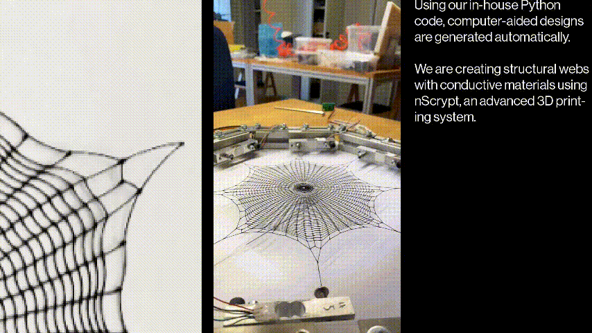 Spider Web 16:9 6.GIF