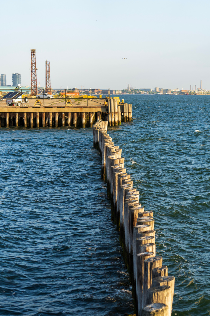 Castle Island Pilings