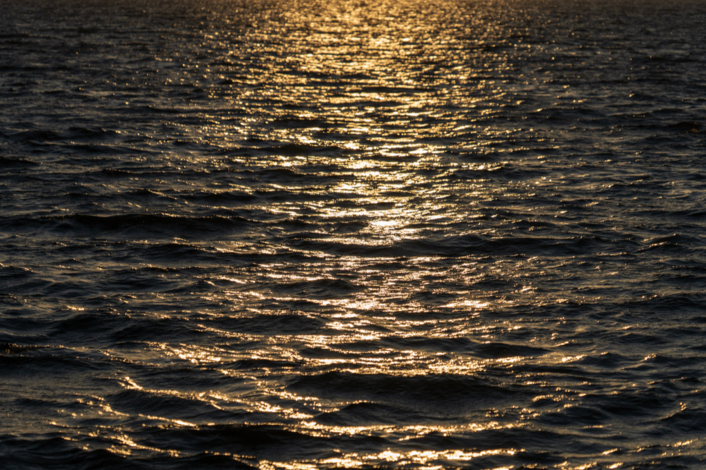 Castle Island - Sunrise 3