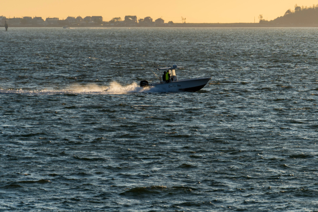 Castle Island - Sunrise Cruise