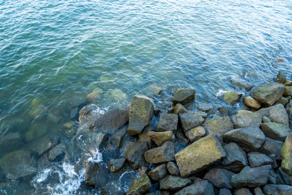 Castle Island - Rocks
