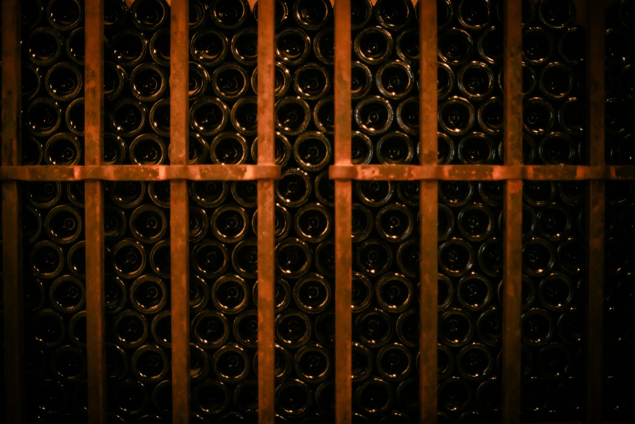 madeline-liu-ksujSm6qduI-unsplash.jpg