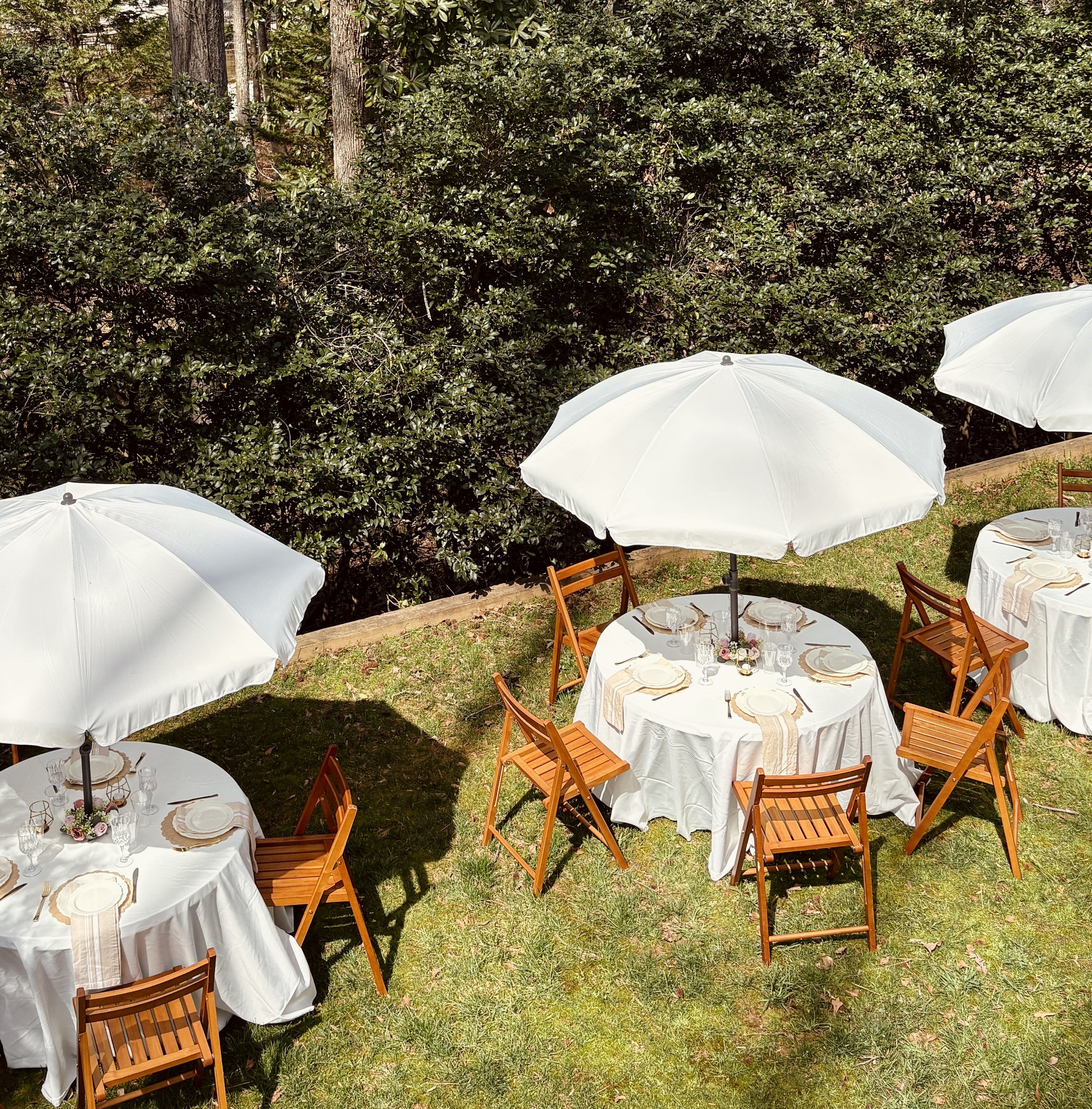 garden party and mini golf