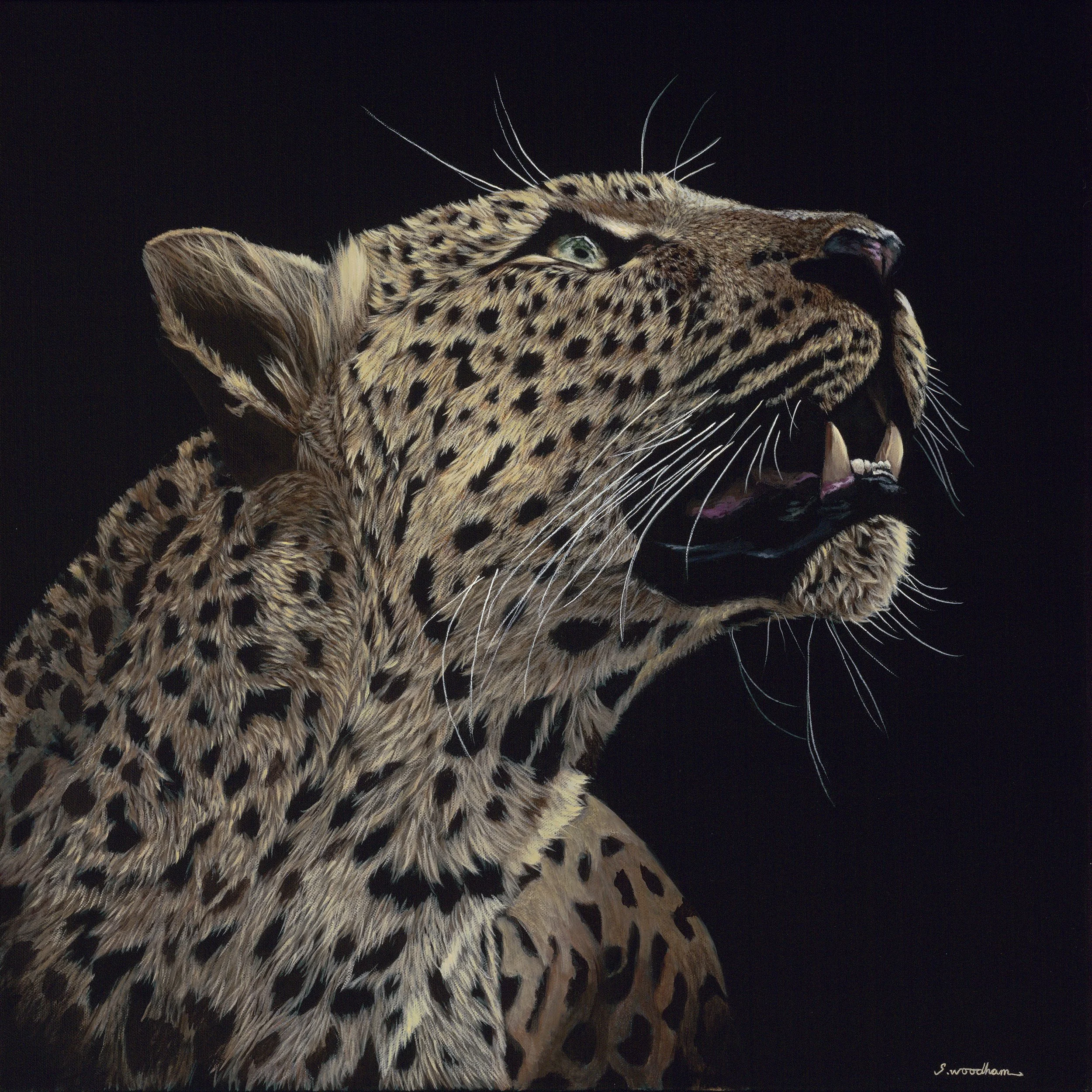 Ascend 20"x20".jpg