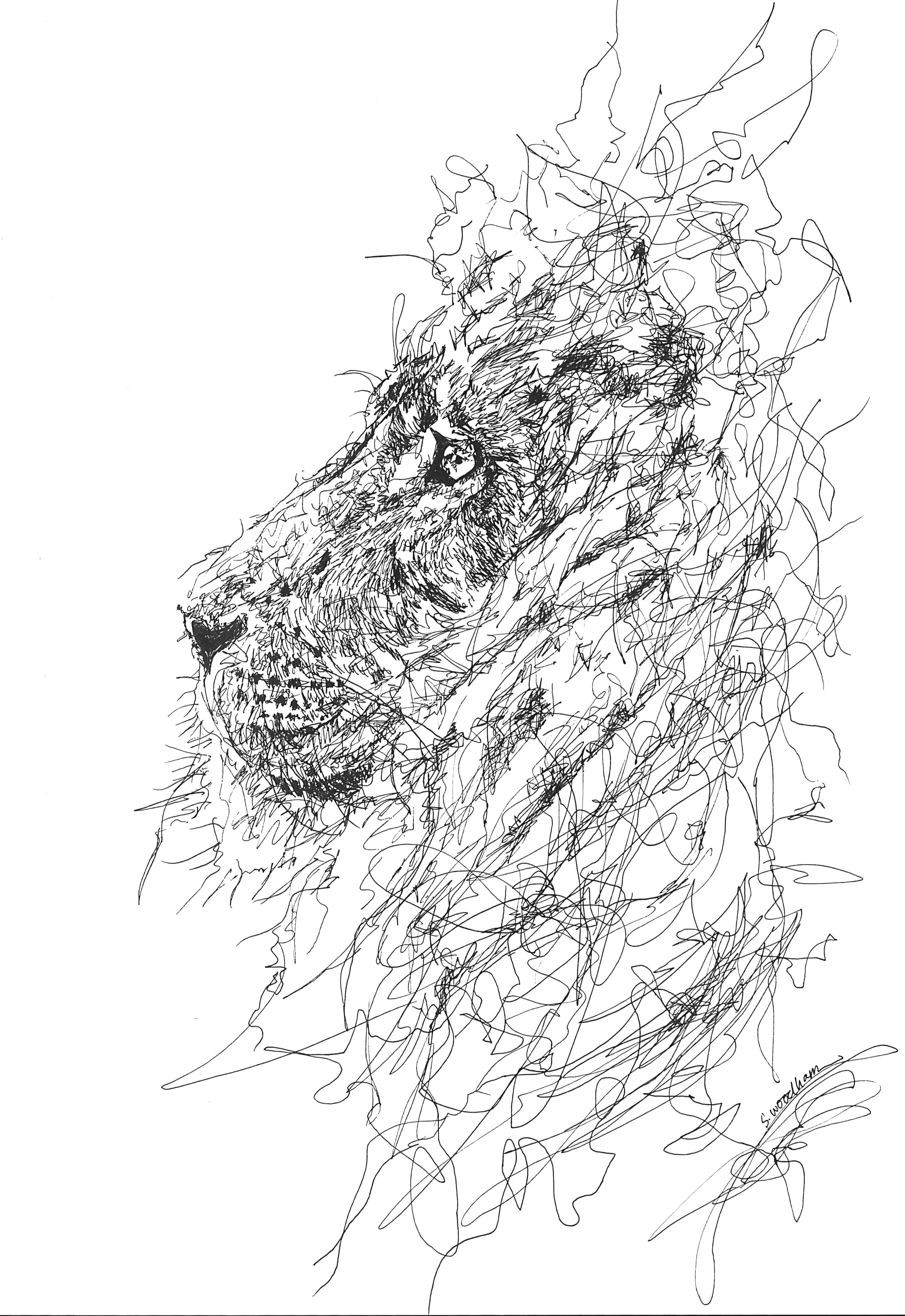 9 1/2" x 13 7/8" - AVAILABLE