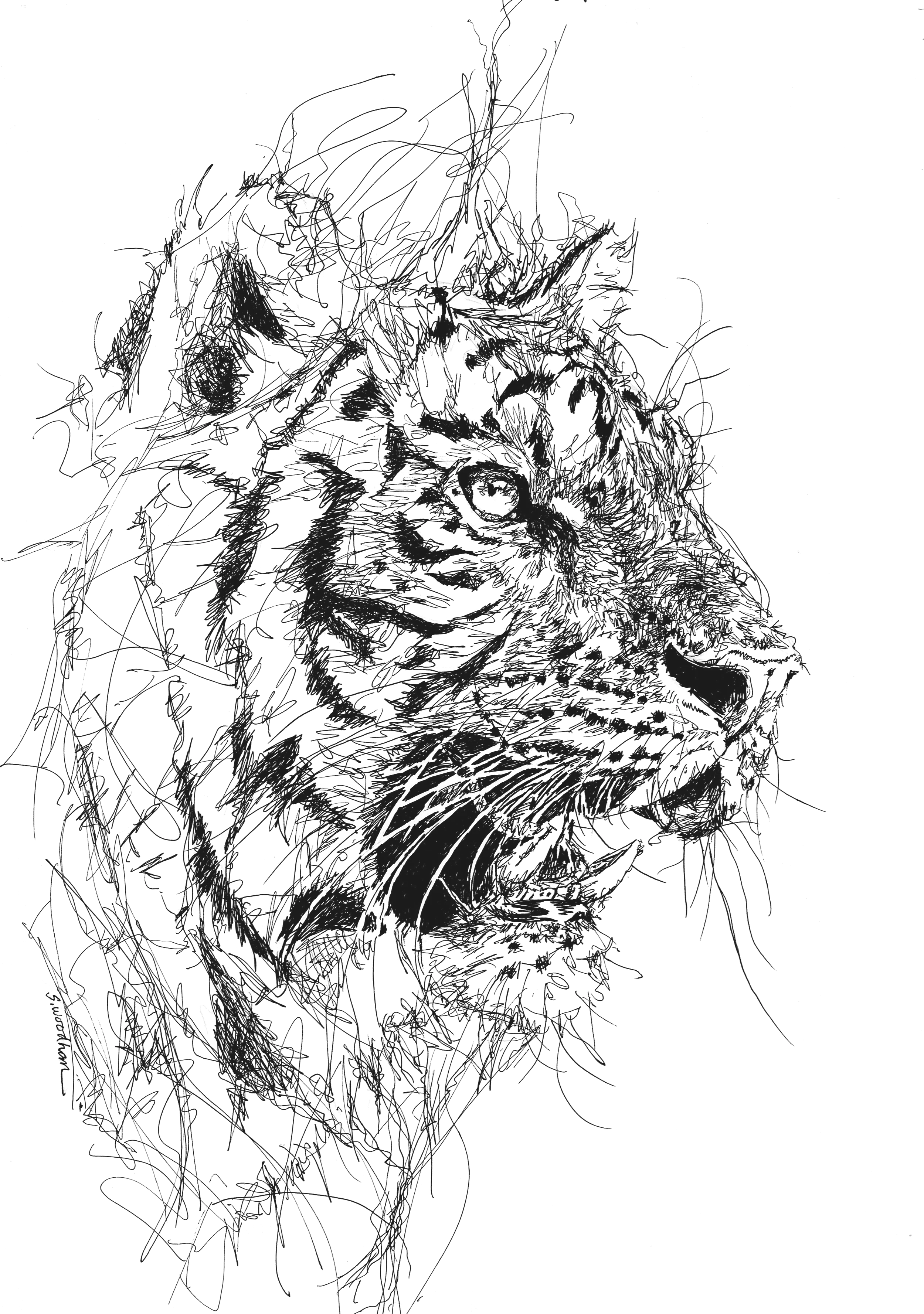 9 3/4" x 14" - AVAILABLE