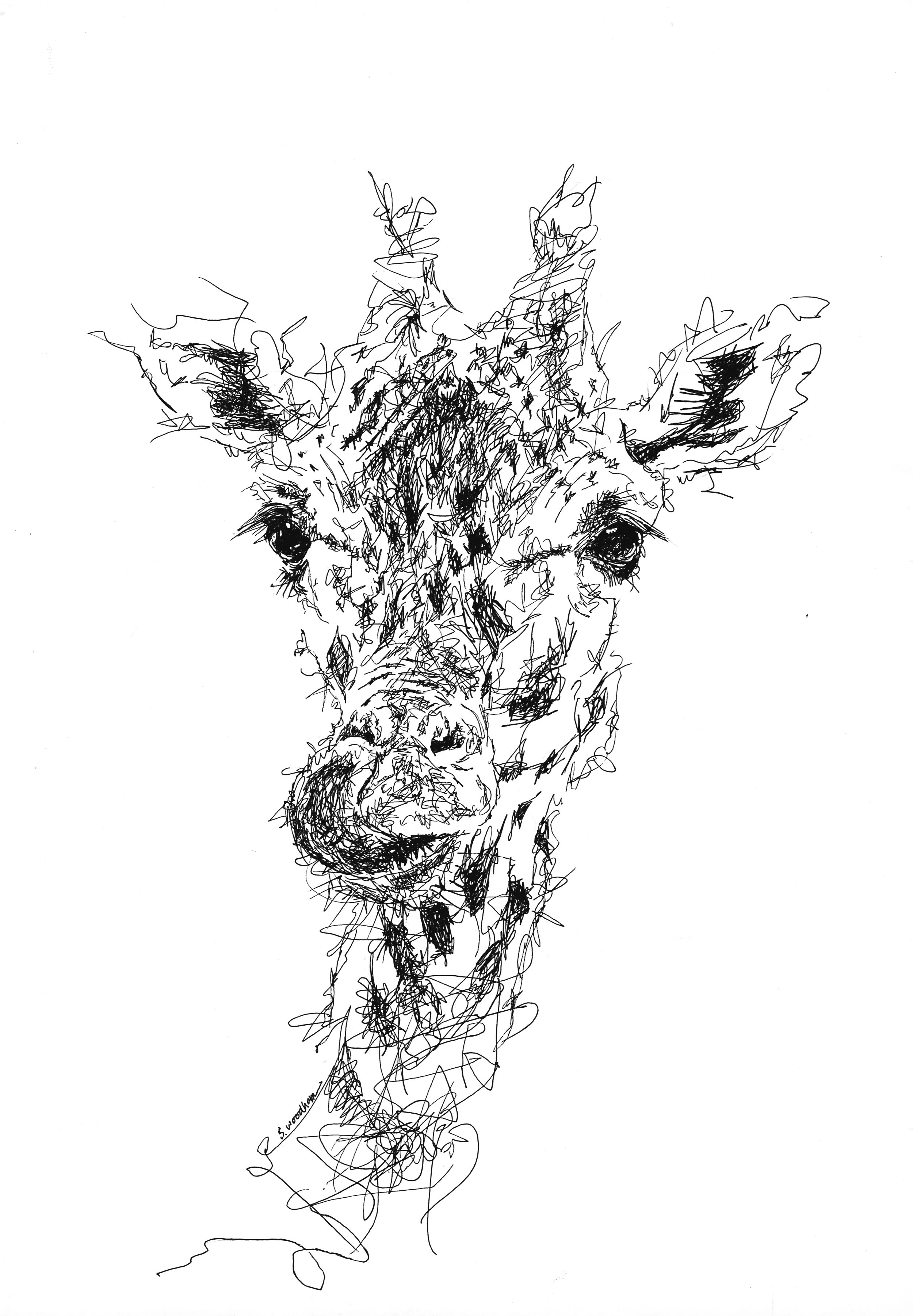 9 1/2" x 13 7/8" - AVAILABLE
