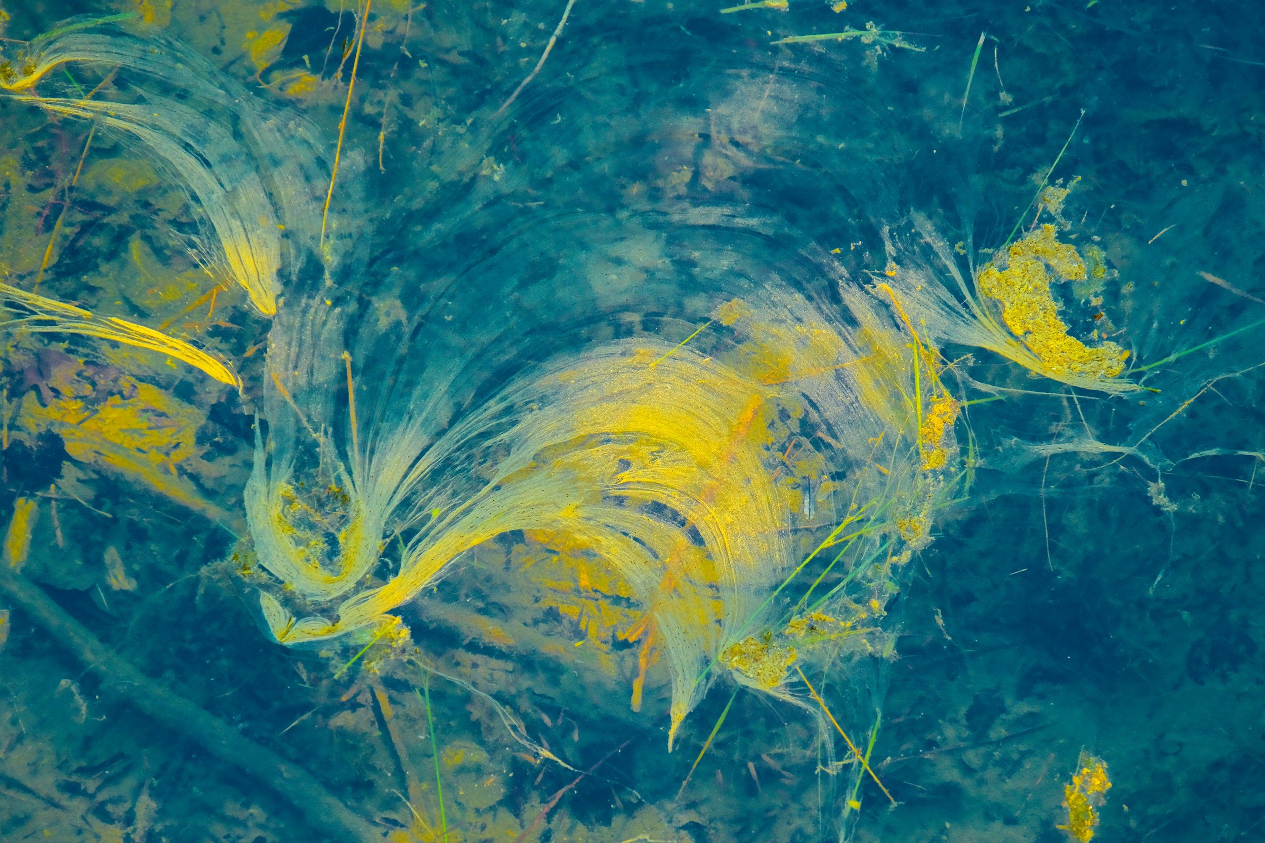 A whole conversation in blue on yellow - Emma Burnett 
