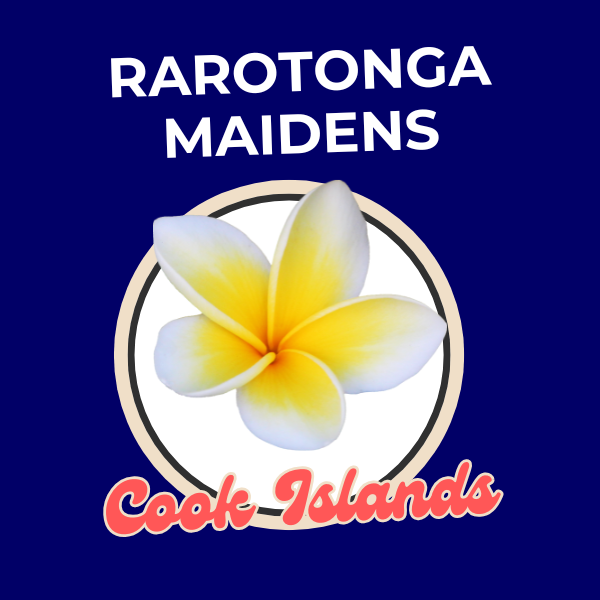 TIARE - TEAM SLIDES (1).png