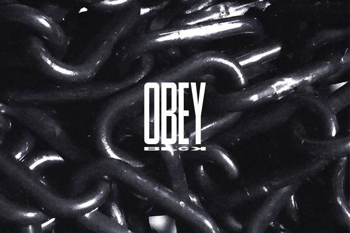 Bulk_Obey.png