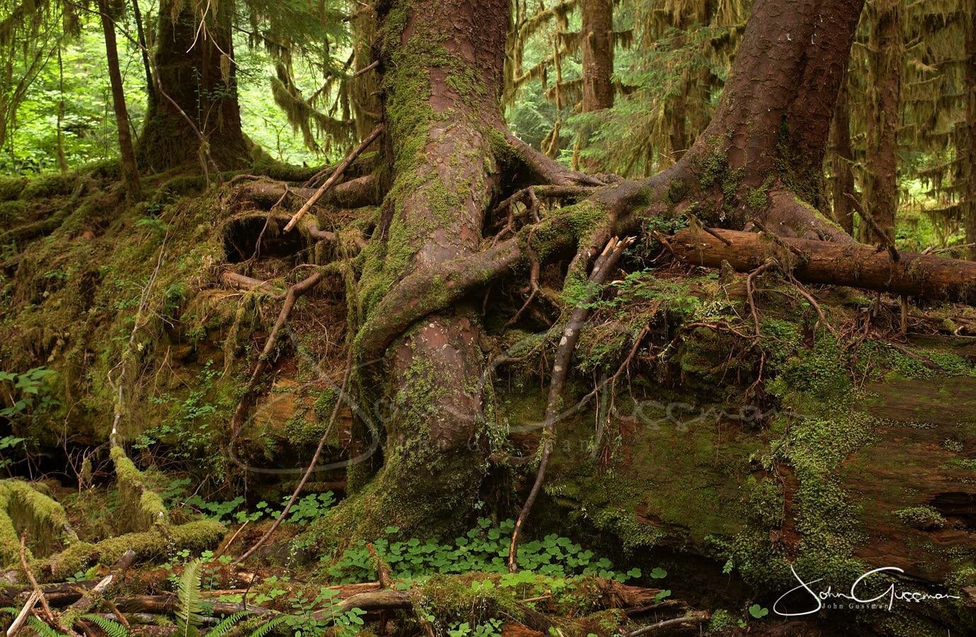 🌎✨ This #GivingTuesday, your generosity can make a tangible difference! 🌟 With your support, Braided River is using the power of beauty to advocate for the protection of sacred lands across Western North America. Our latest book launch, &ldquo;Salm