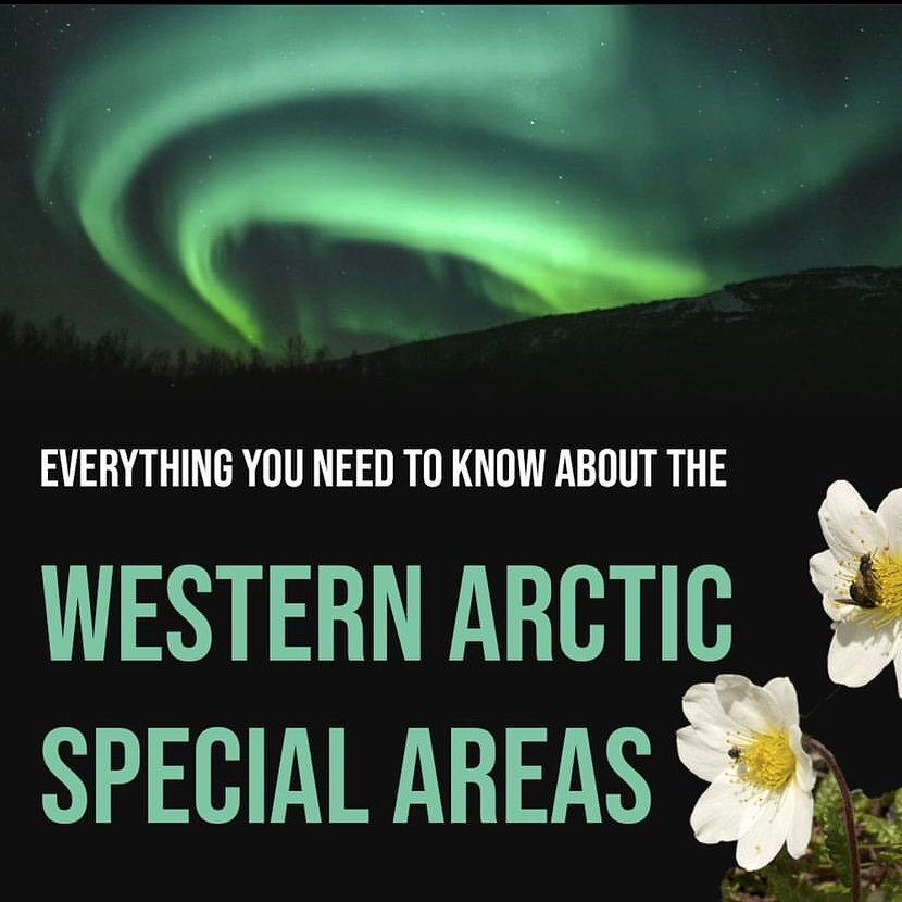 There are 13 Million acres of #AmericasArctic designated as Special Areas, recognized for their unique biological and wilderness value. From #oceanlife to #caribou, and from #birdmigration to #dinosaurs, we&rsquo;d rather keep our Special Areas #spec